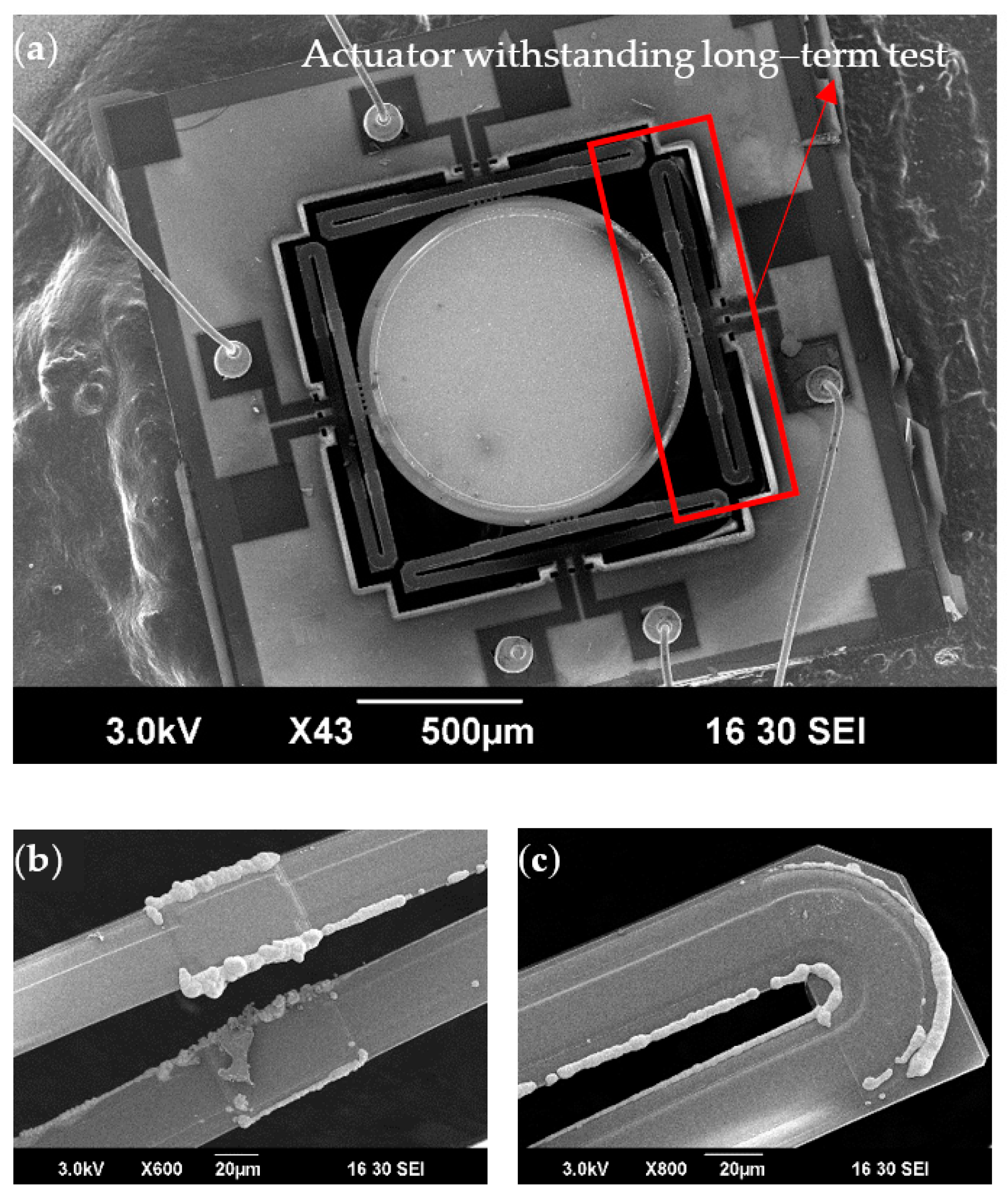 Micromachines 10 00323 g011