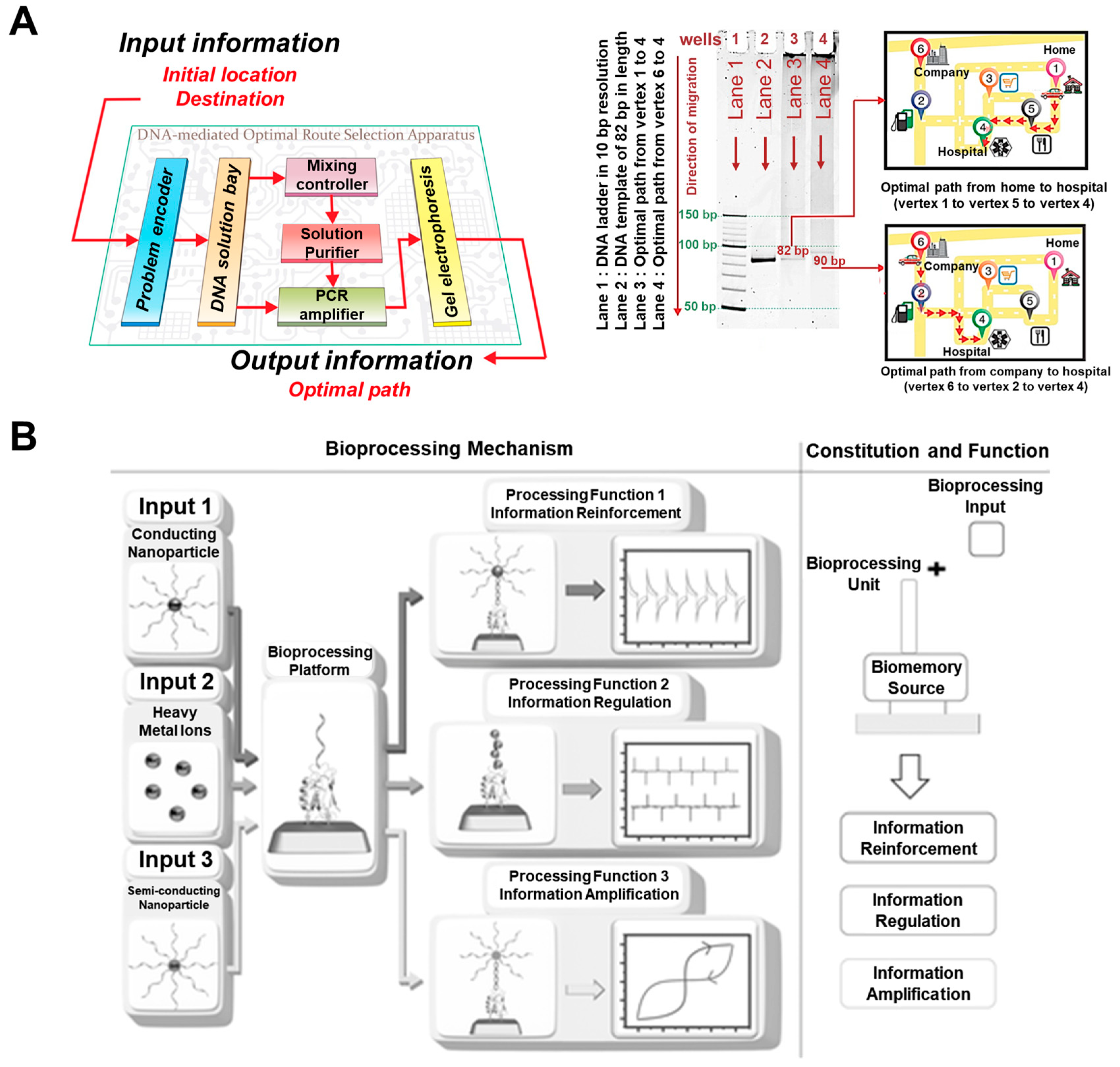 Micromachines 10 00347 g007 Micromachines 10 00347 g007