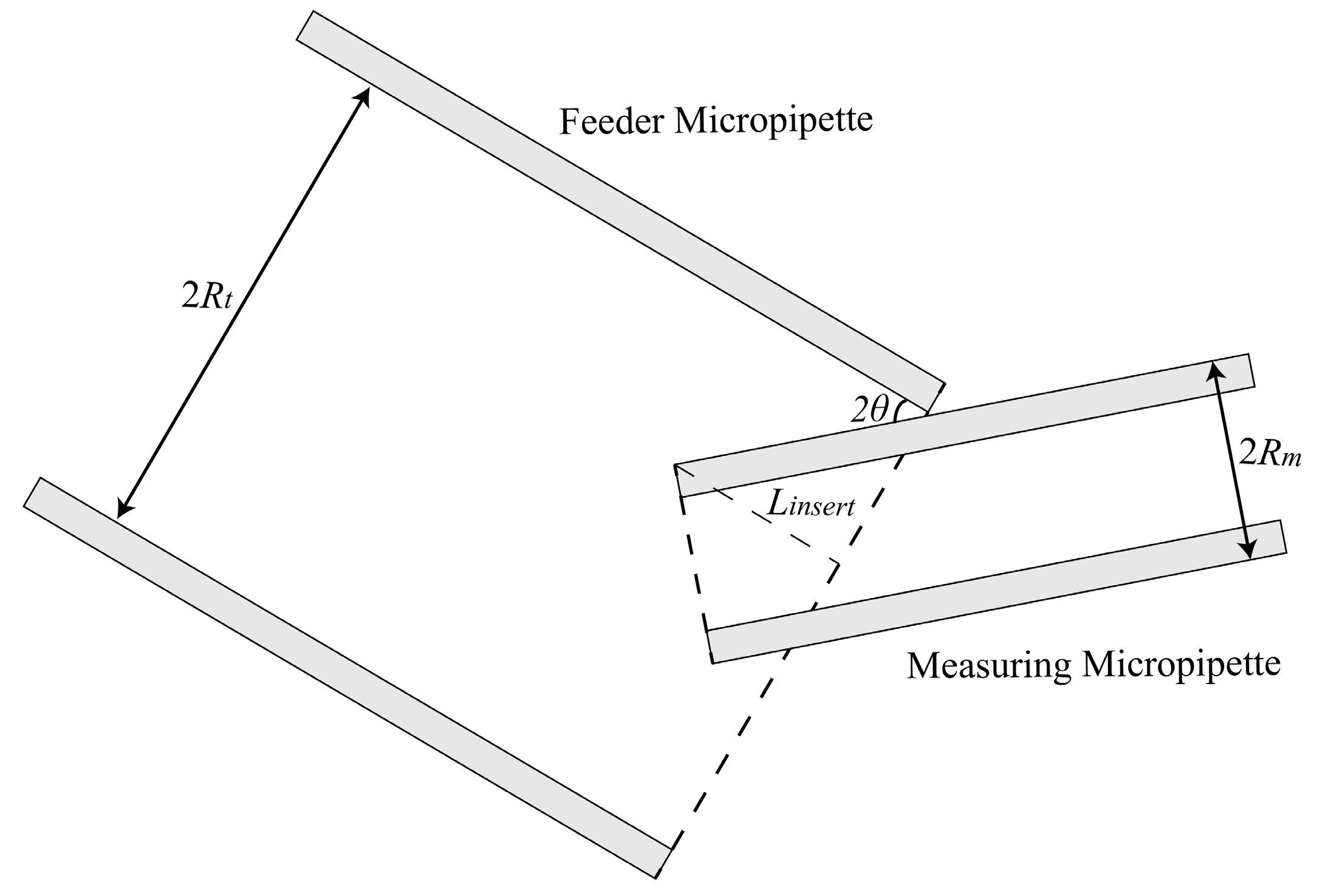 Micromachines 10 00348 g002 Micromachines 10 00348 g002