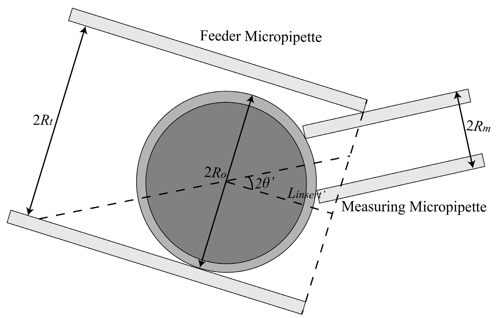 Micromachines 10 00348 g003 Micromachines 10 00348 g003