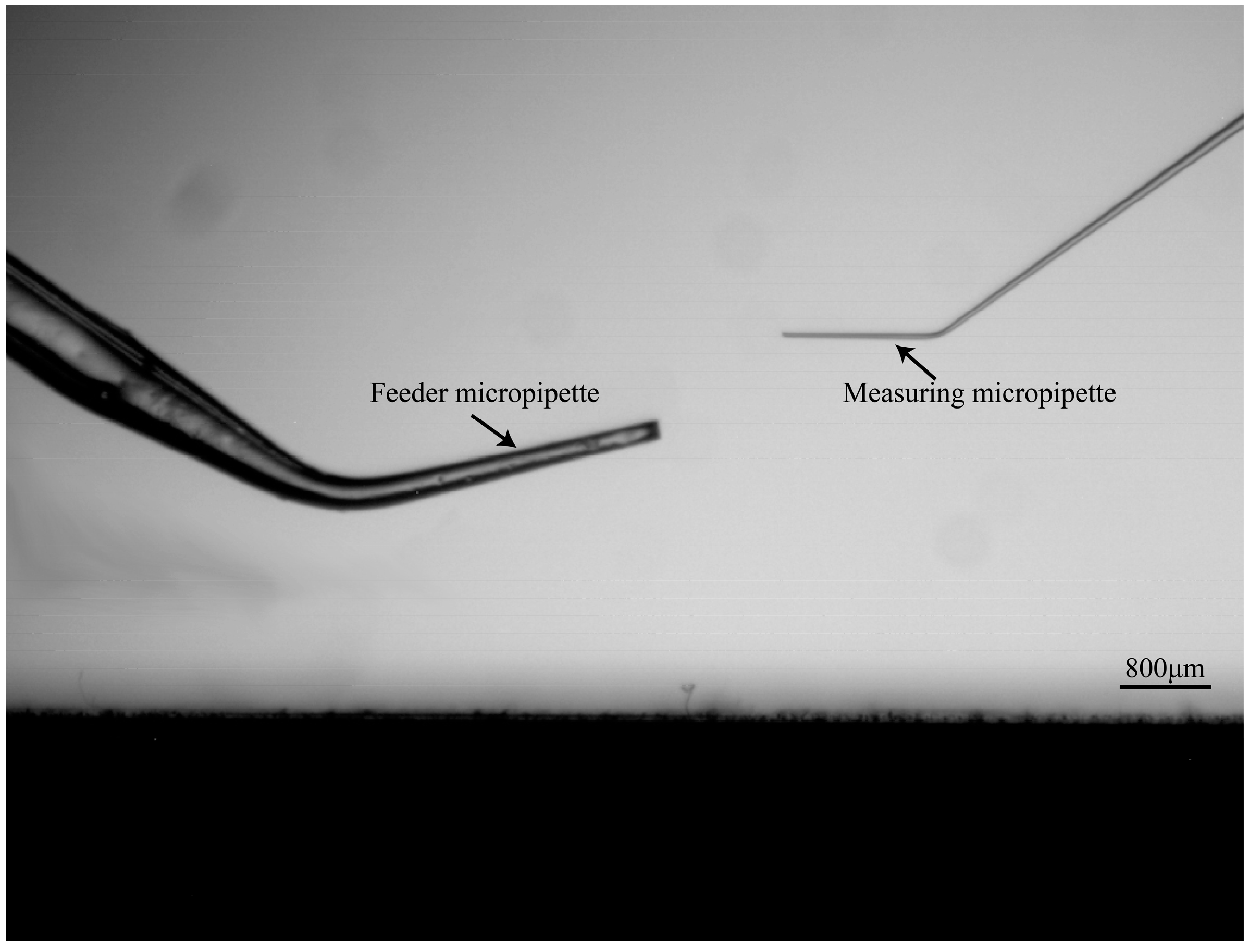 Micromachines 10 00348 g004 Micromachines 10 00348 g004
