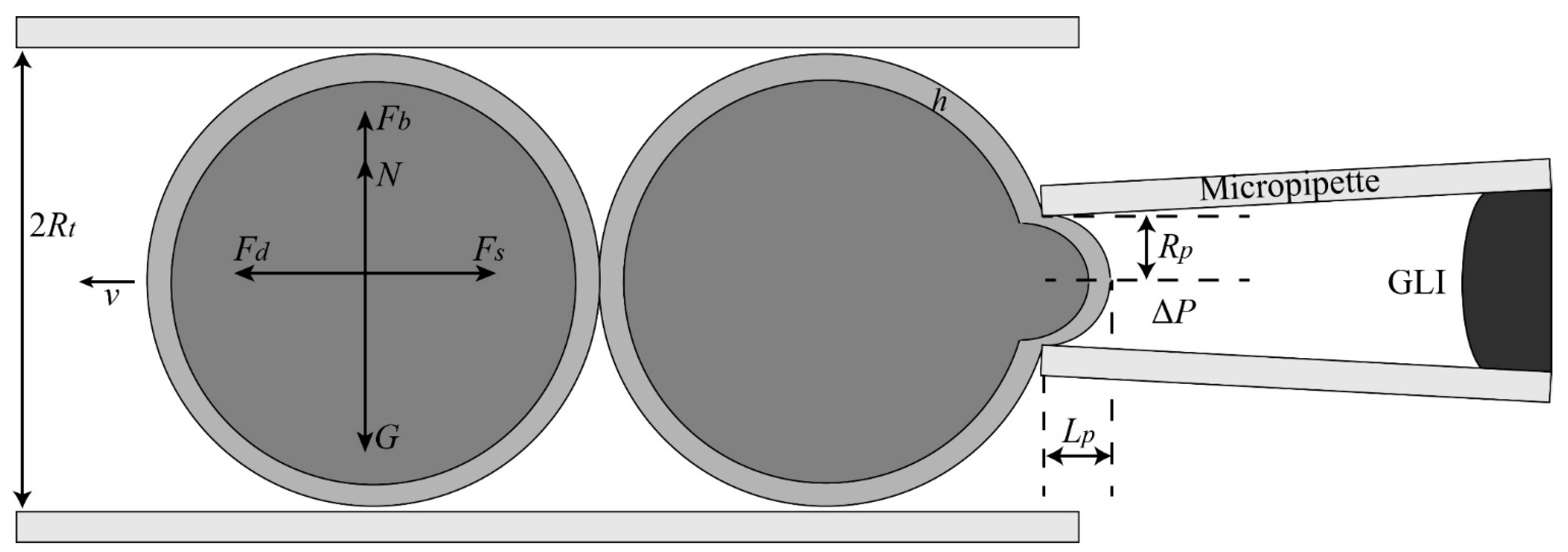 Micromachines 10 00348 g007 Micromachines 10 00348 g007