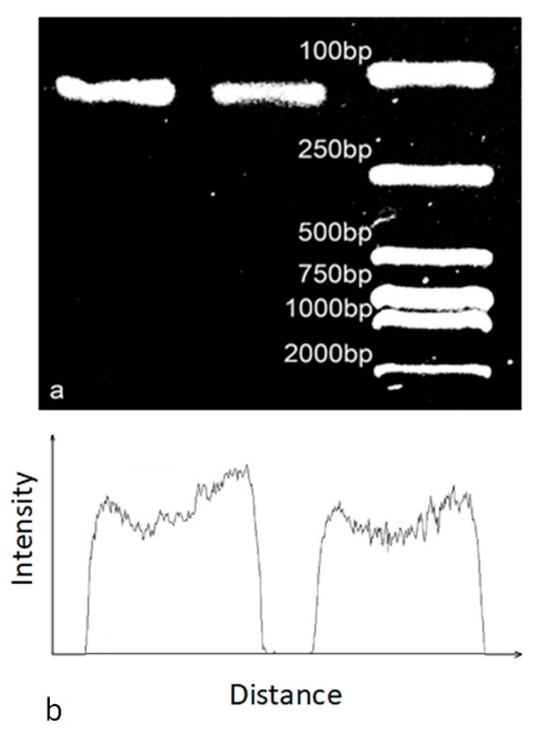 Micromachines 10 00350 g006 550
