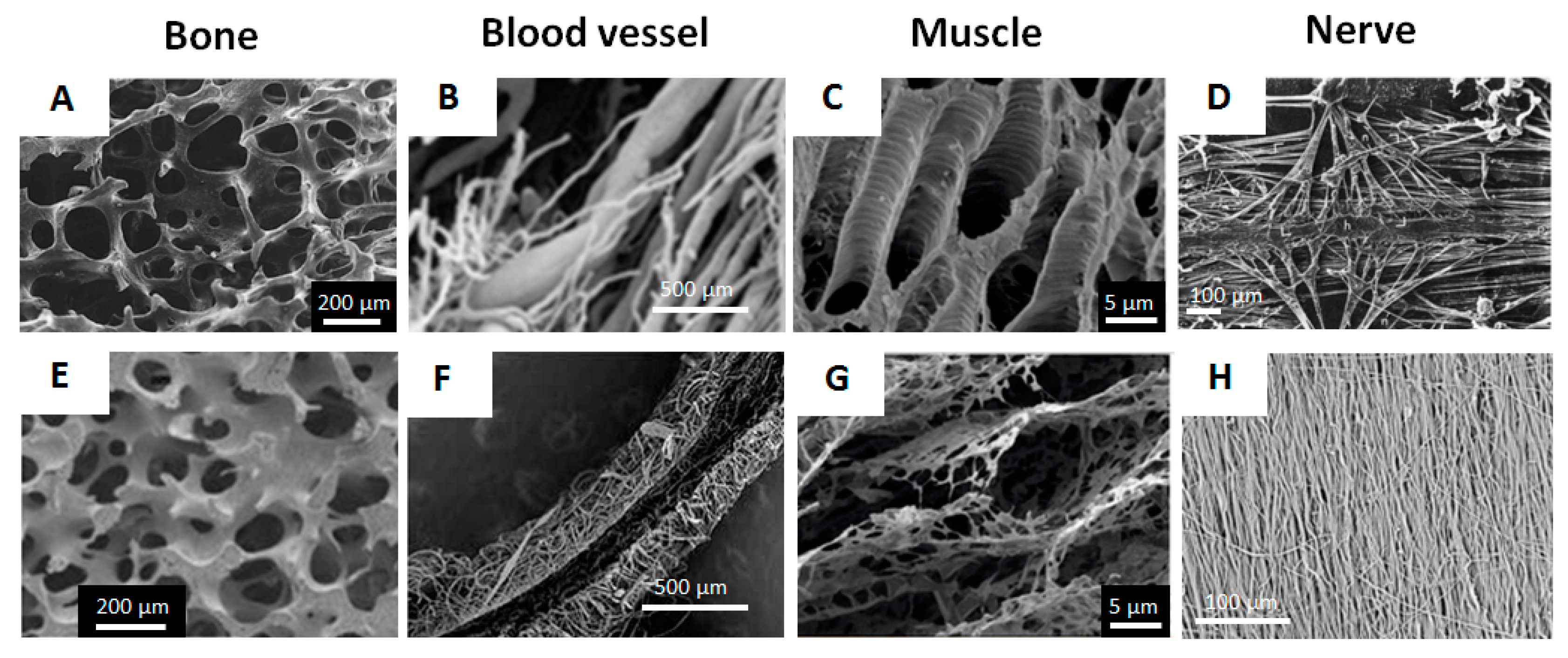 Micromachines 10 00357 g001 Micromachines 10 00357 g001