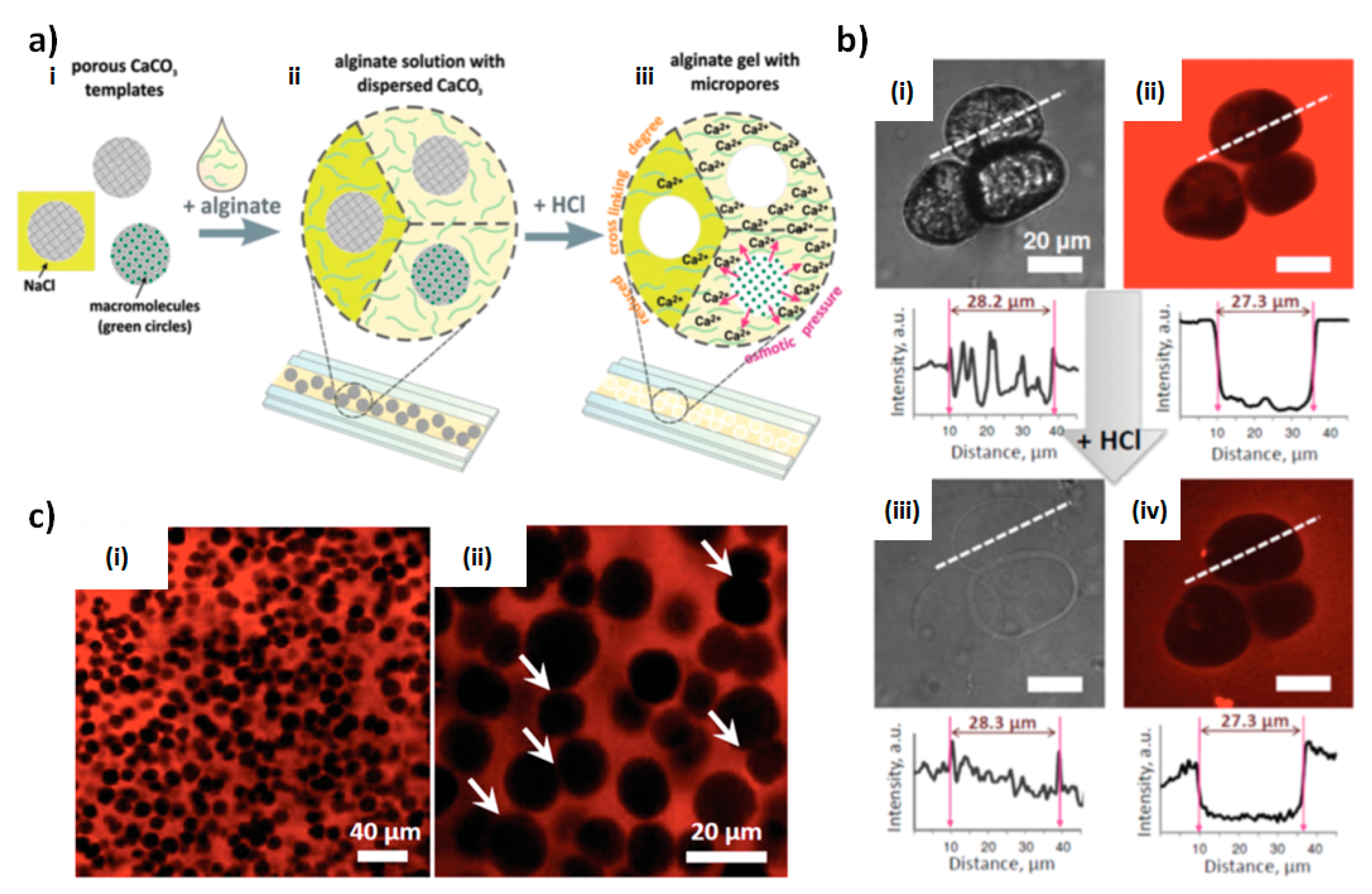 Micromachines 10 00357 g005 Micromachines 10 00357 g005