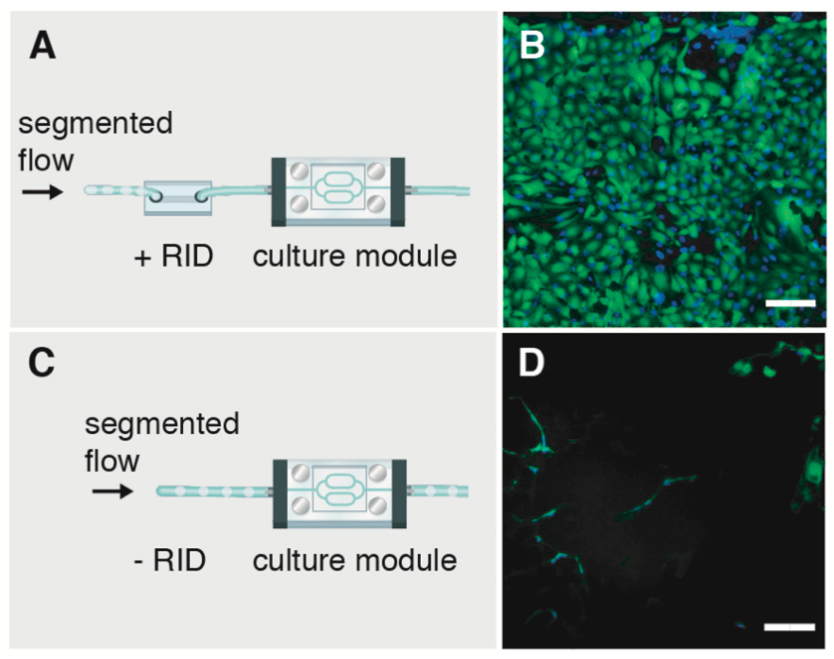 Micromachines 10 00360 g005