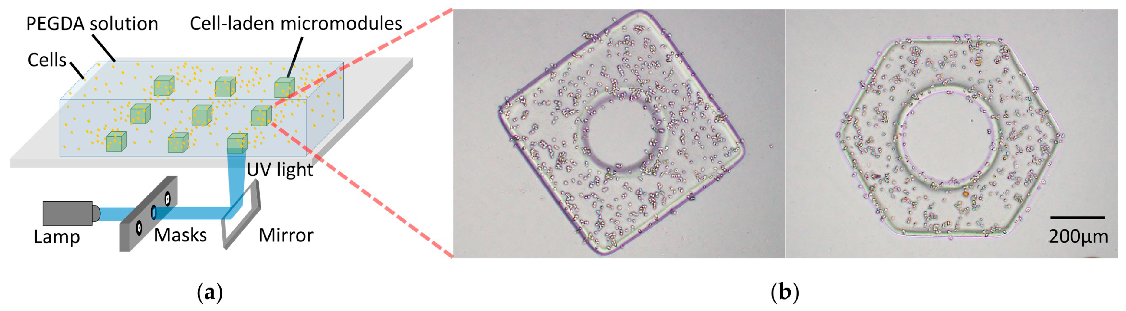 Micromachines 10 00370 g002 Micromachines 10 00370 g002
