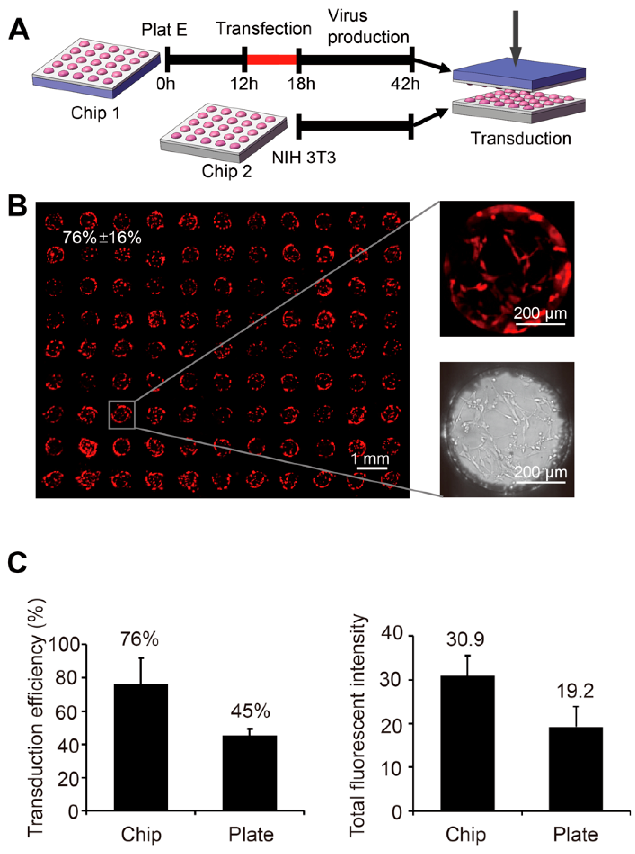 Micromachines 10 00387 g004 Micromachines 10 00387 g004
