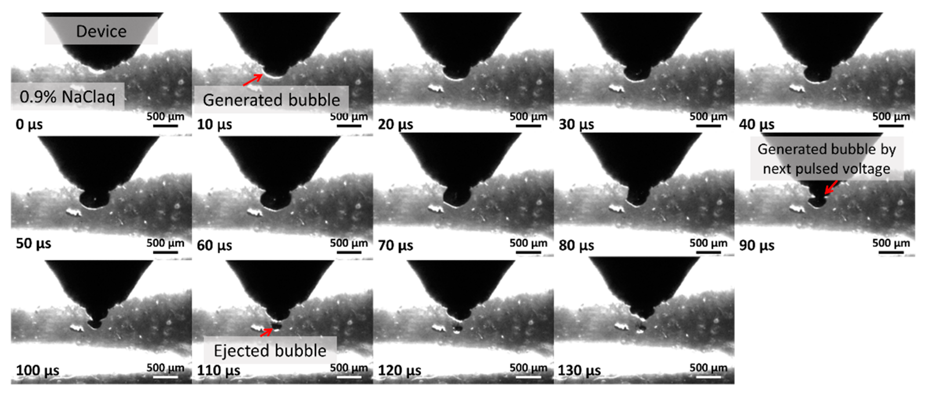 Micromachines 10 00389 g003