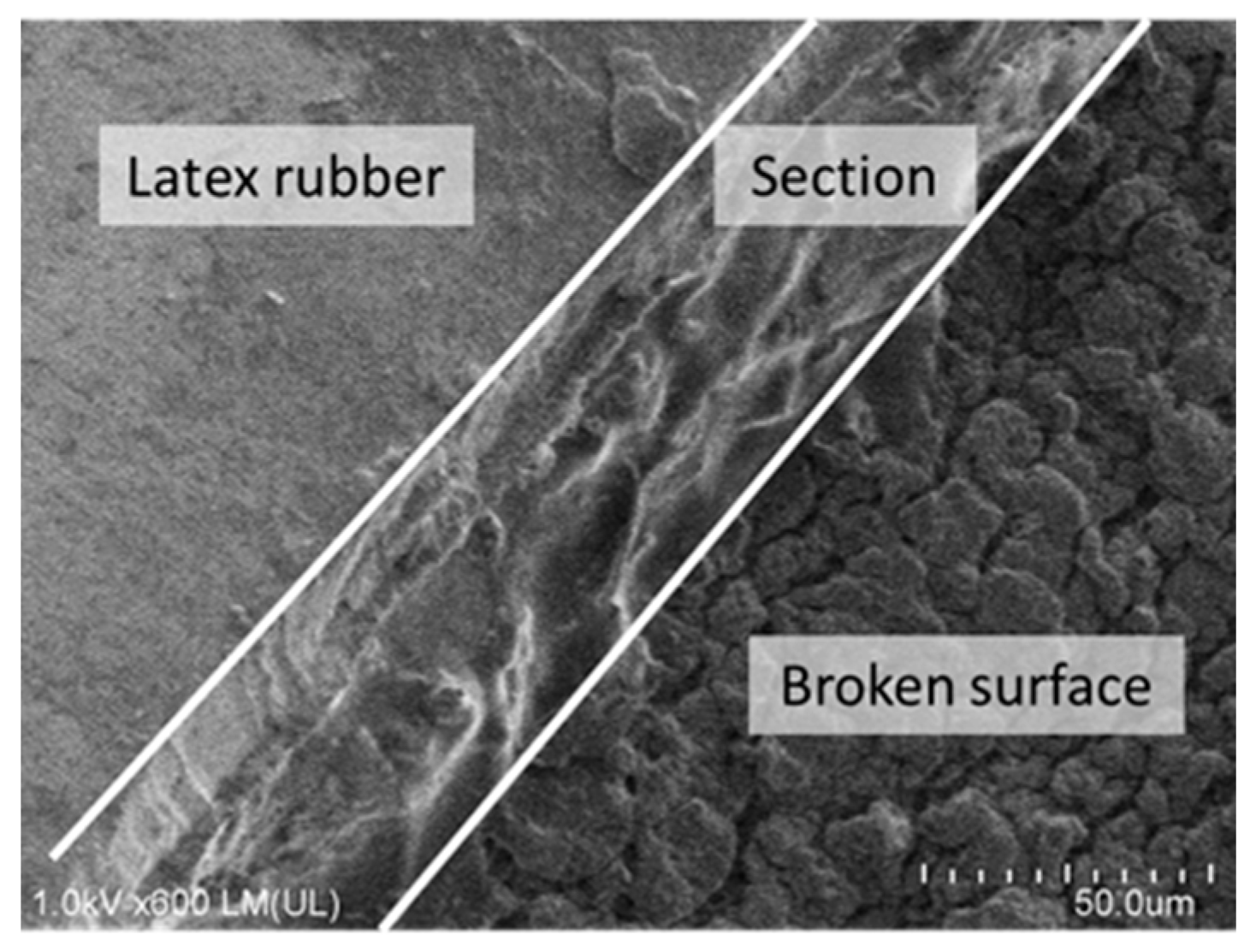 Micromachines 10 00389 g010