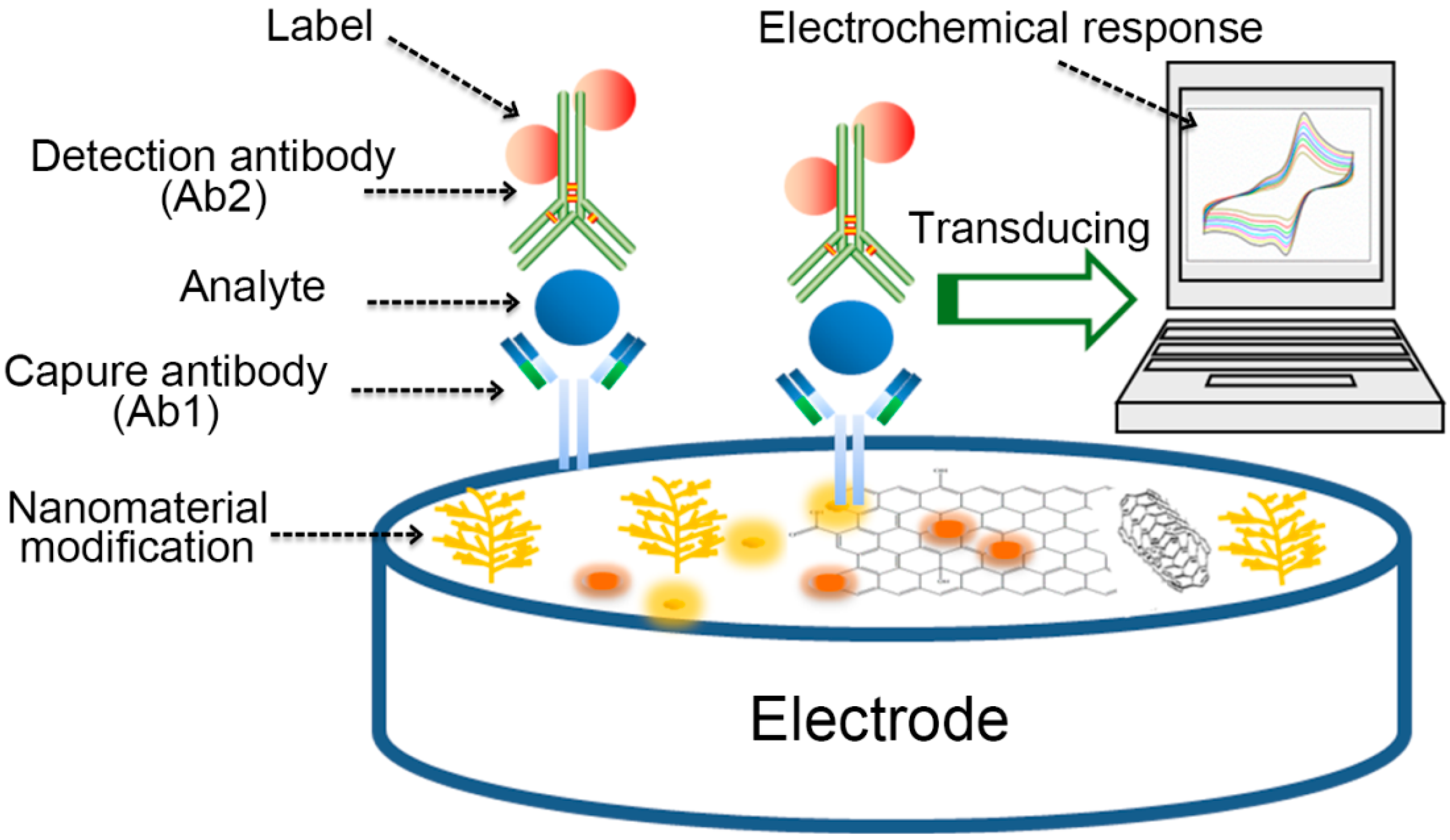 Electrochemical sensors. Paper-based electrochemical sensors. Materials & electrochemical research. Electrochemical Sensing Capsules.