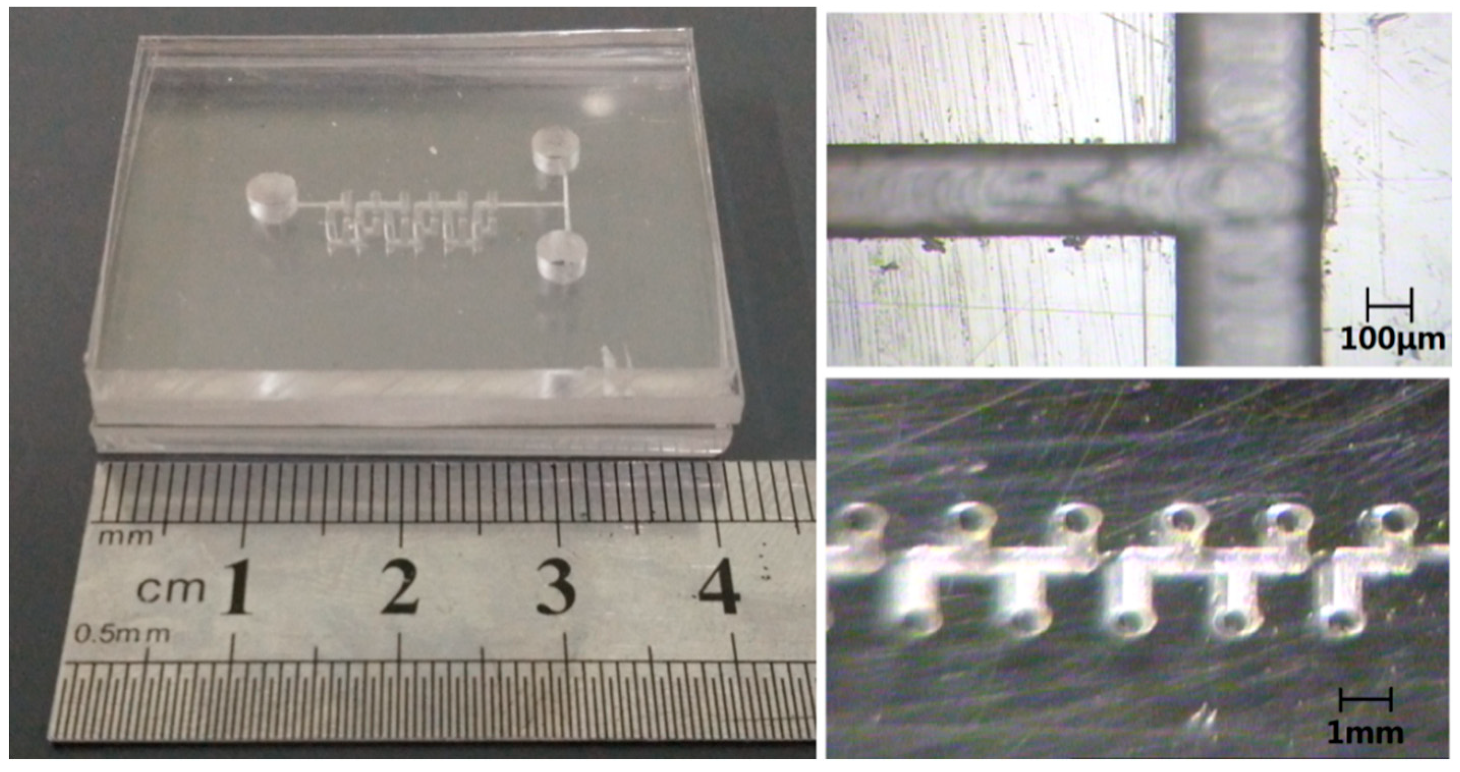 Micromachines 10 00398 g004