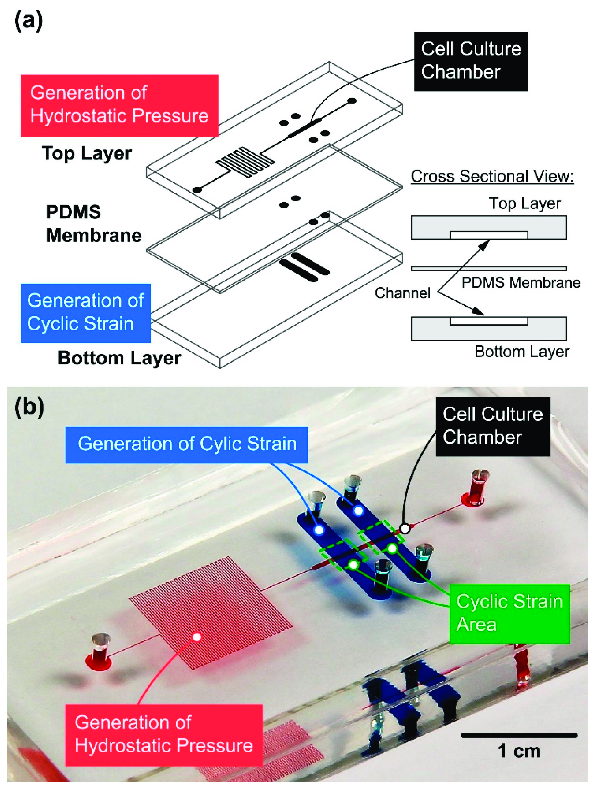 Micromachines 10 00400 g001 Micromachines 10 00400 g001