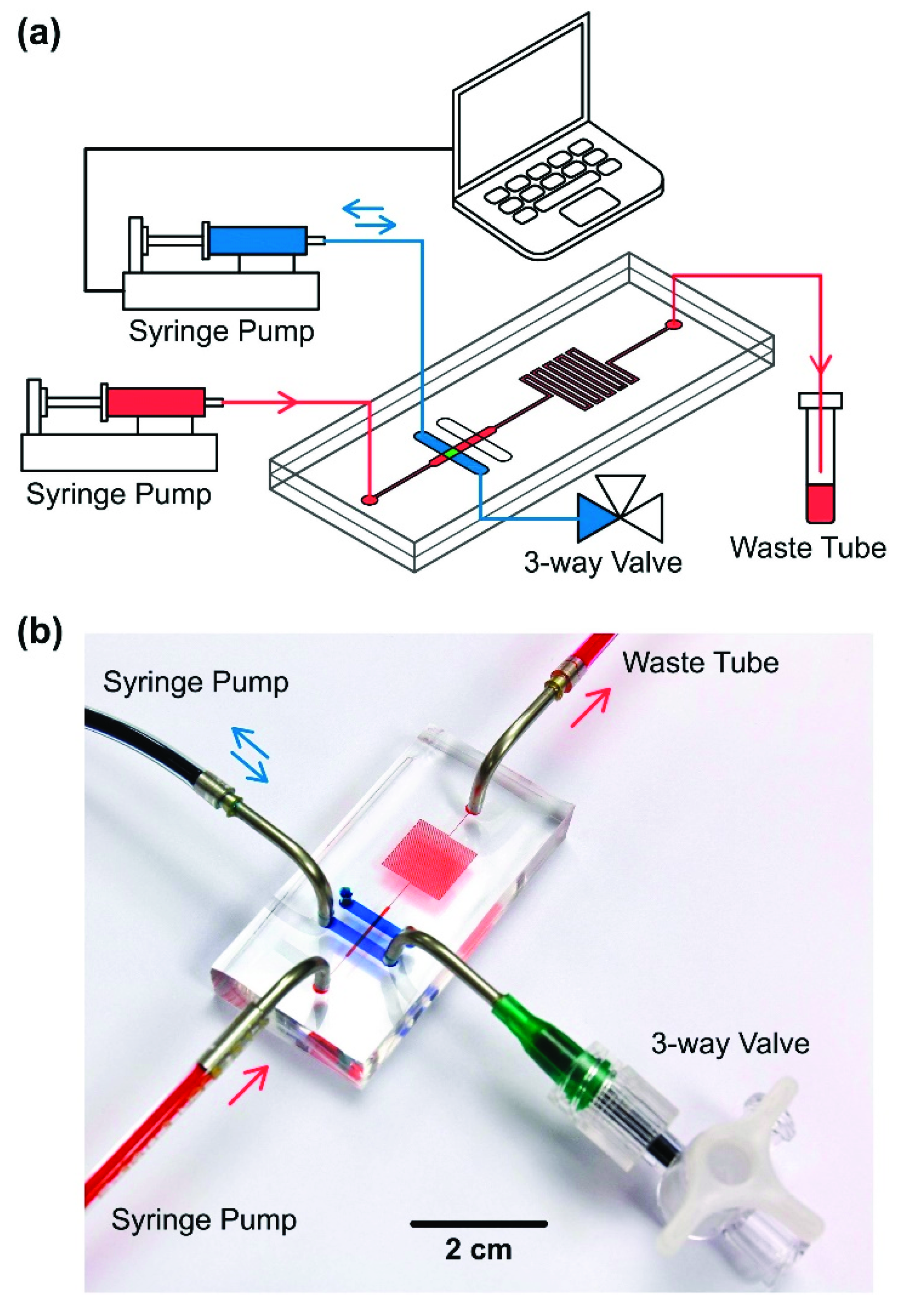 Micromachines 10 00400 g002 Micromachines 10 00400 g002