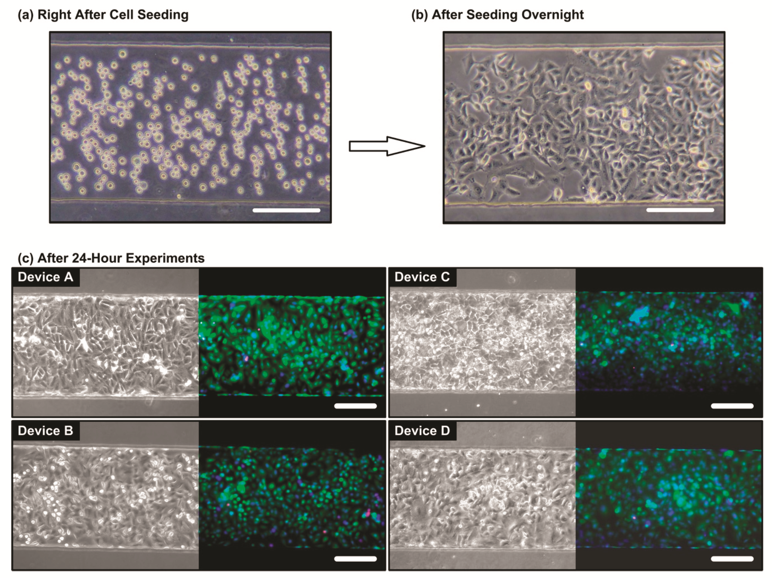 Micromachines 10 00400 g004 Micromachines 10 00400 g004