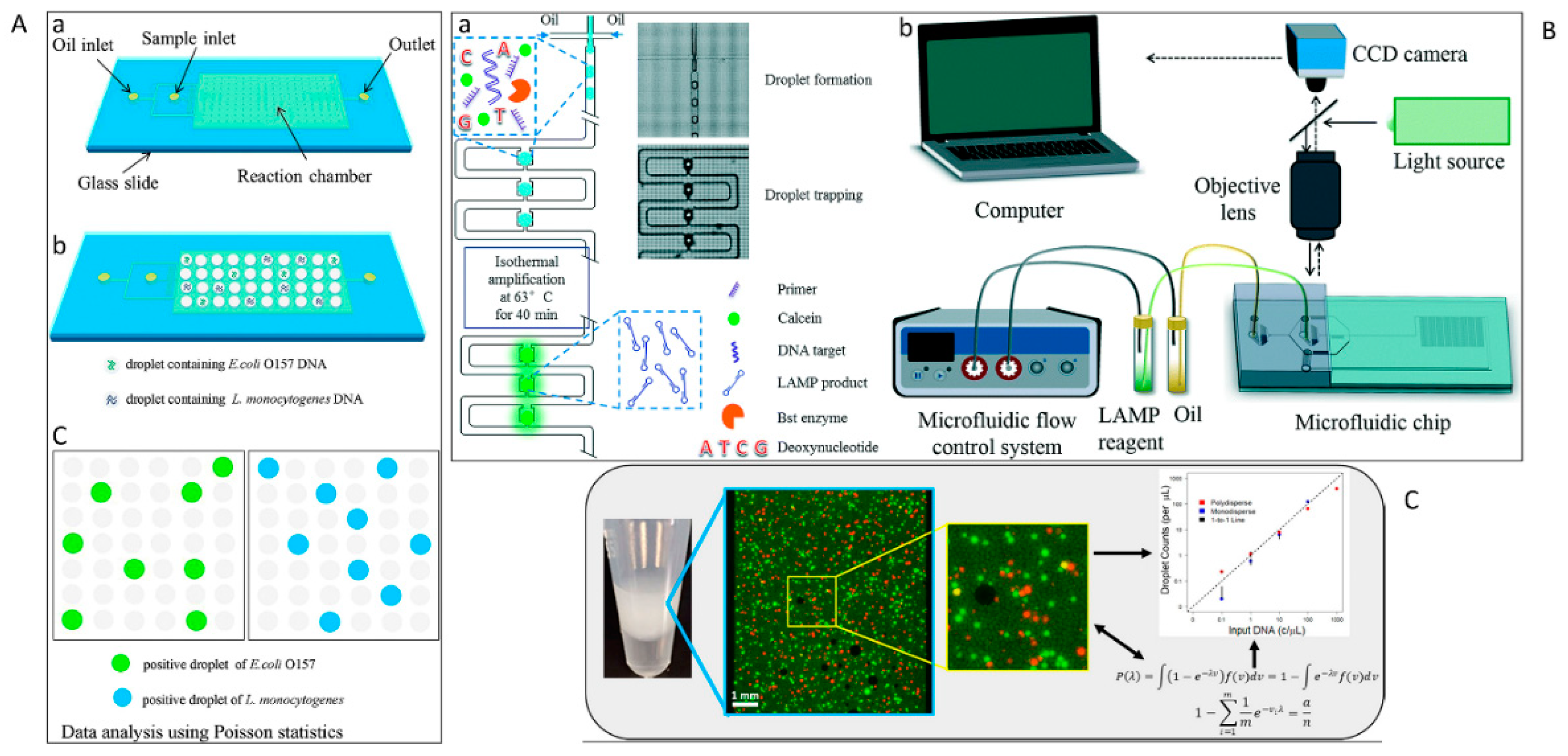 Micromachines 10 00408 g006 Micromachines 10 00408 g006