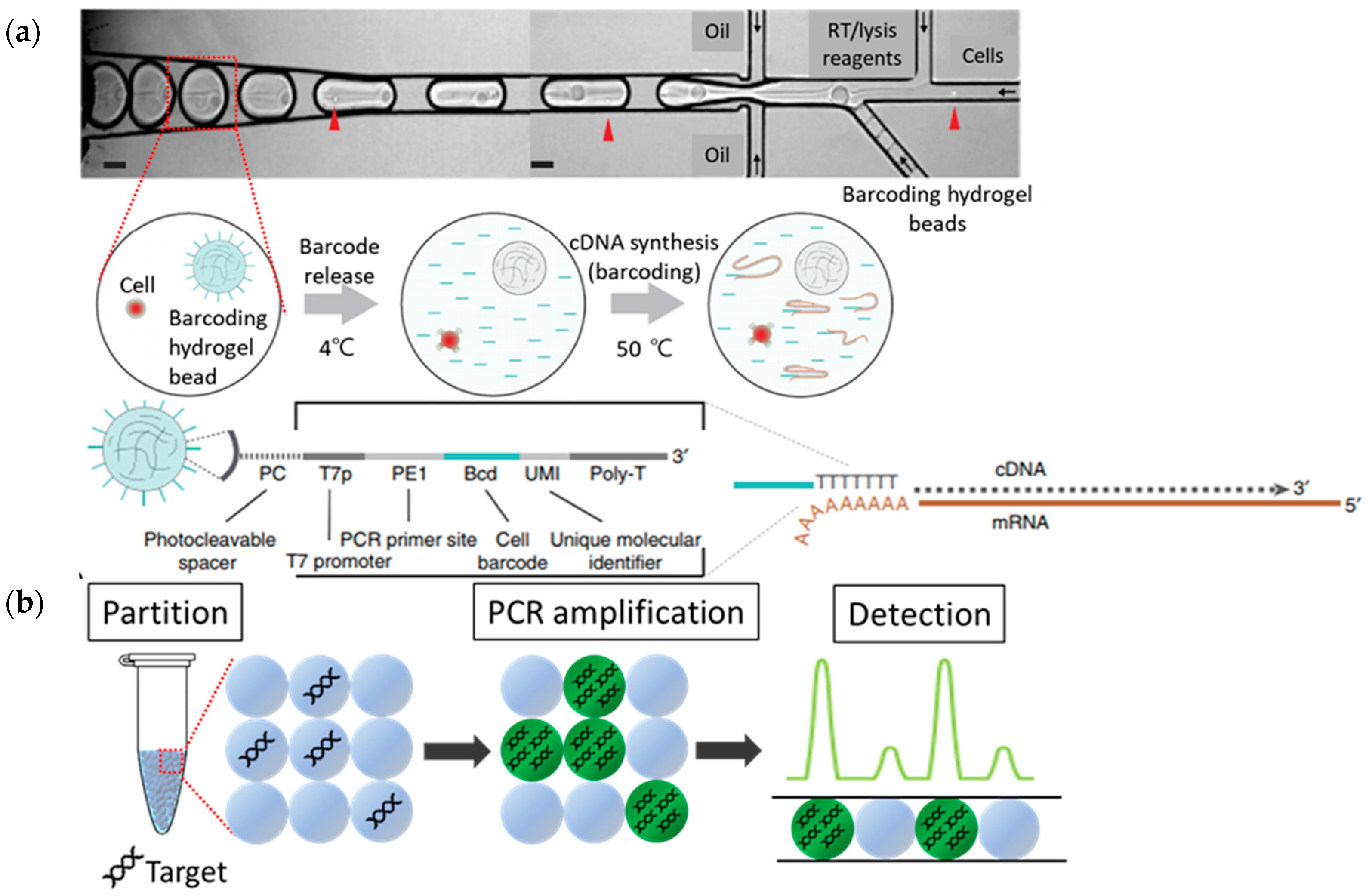 Micromachines 10 00412 g002 Micromachines 10 00412 g002