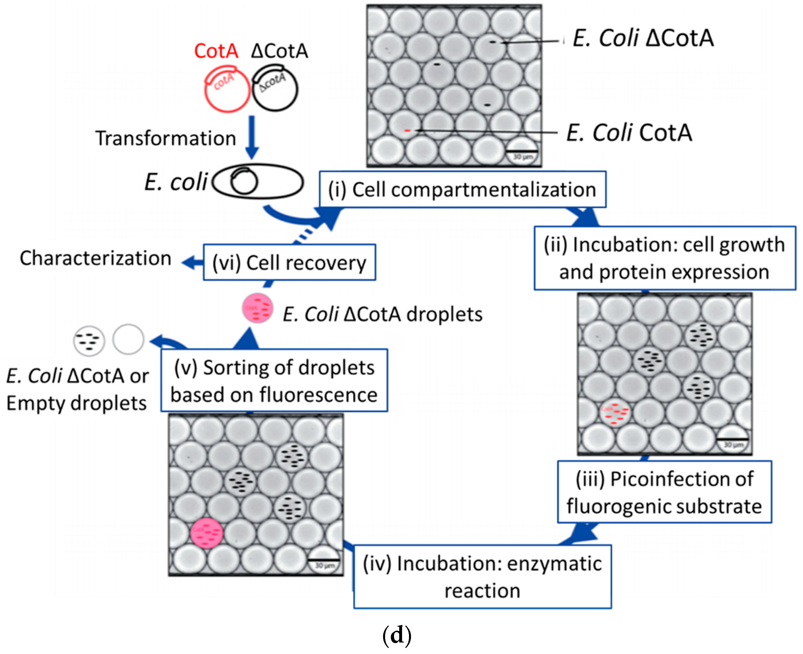 Micromachines 10 00412 g004b Micromachines 10 00412 g004b