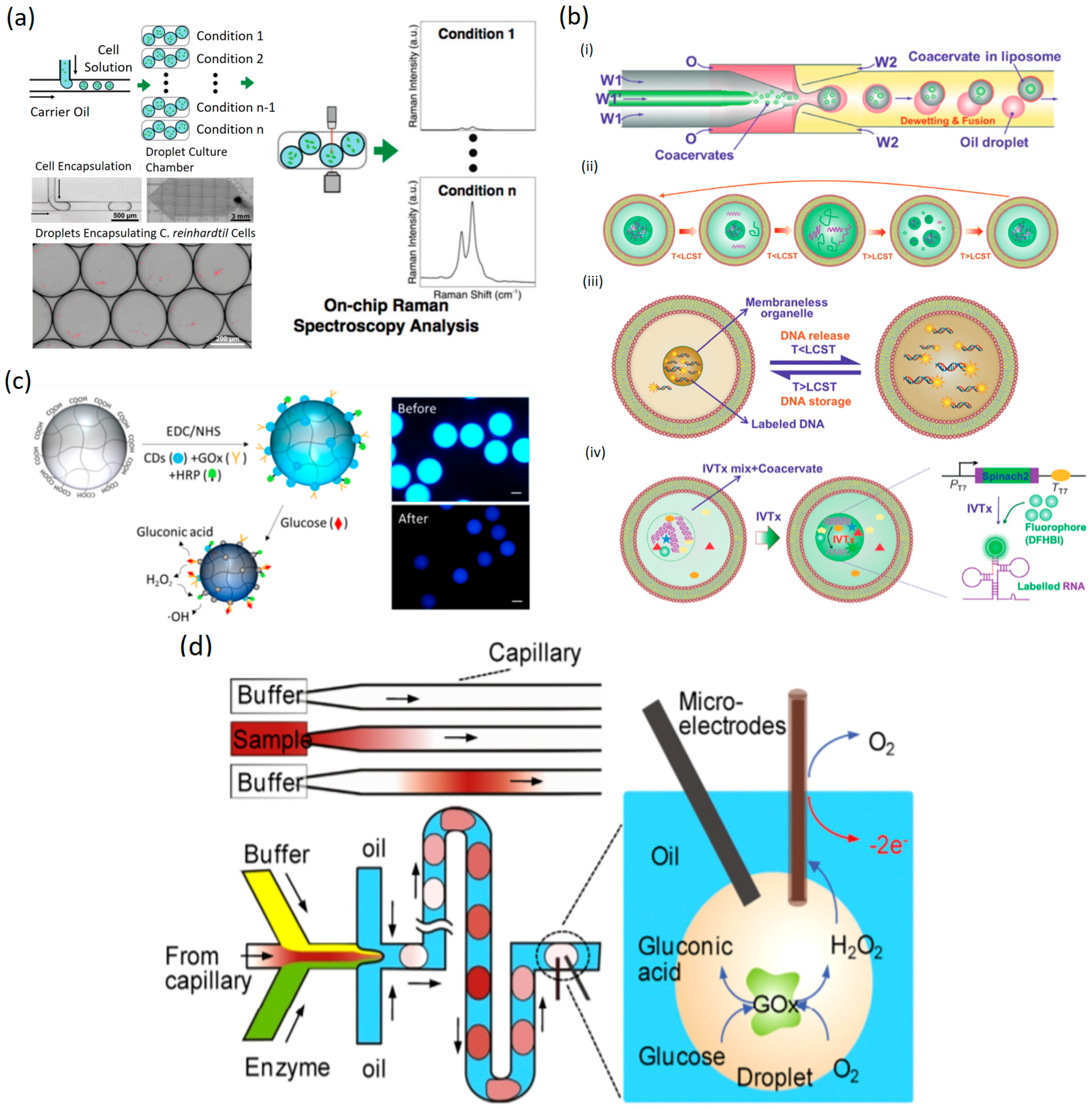 Micromachines 10 00412 g005 Micromachines 10 00412 g005