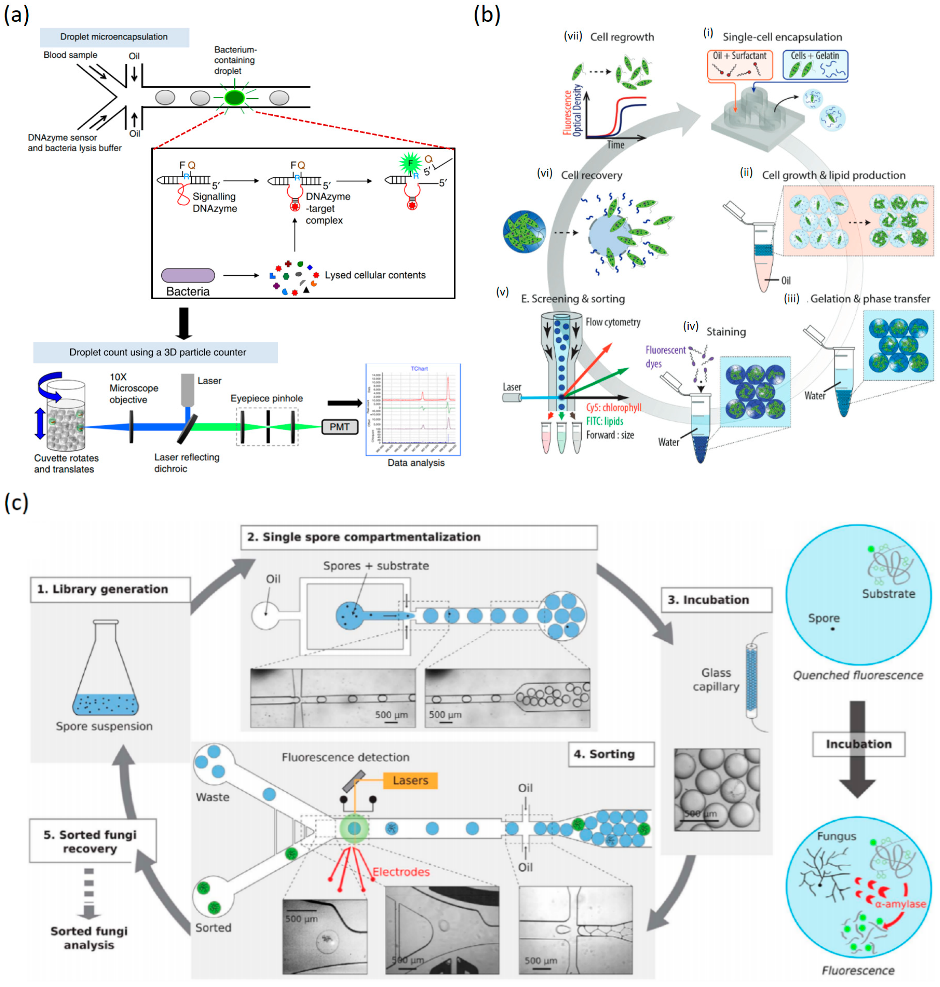 Micromachines 10 00412 g006 Micromachines 10 00412 g006