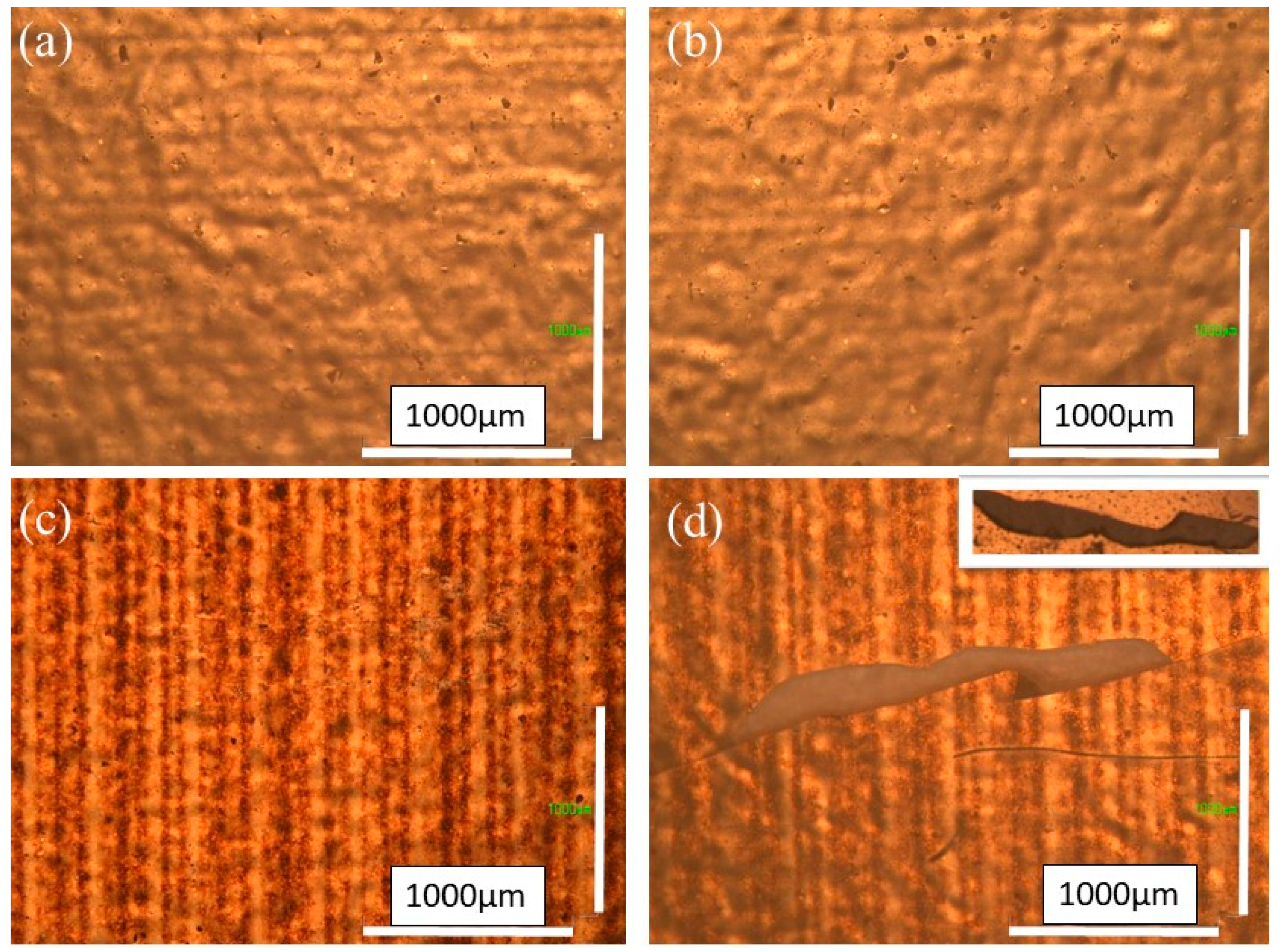 Micromachines 10 00417 g007