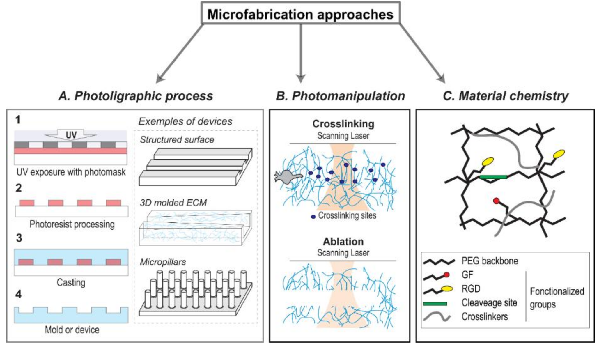 Micromachines 10 00418 g002 Micromachines 10 00418 g002