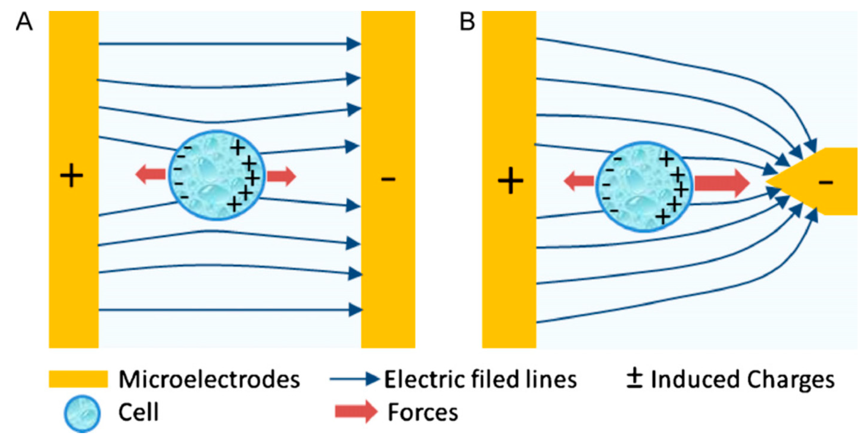 Micromachines Free Full Text Dep On A Chip