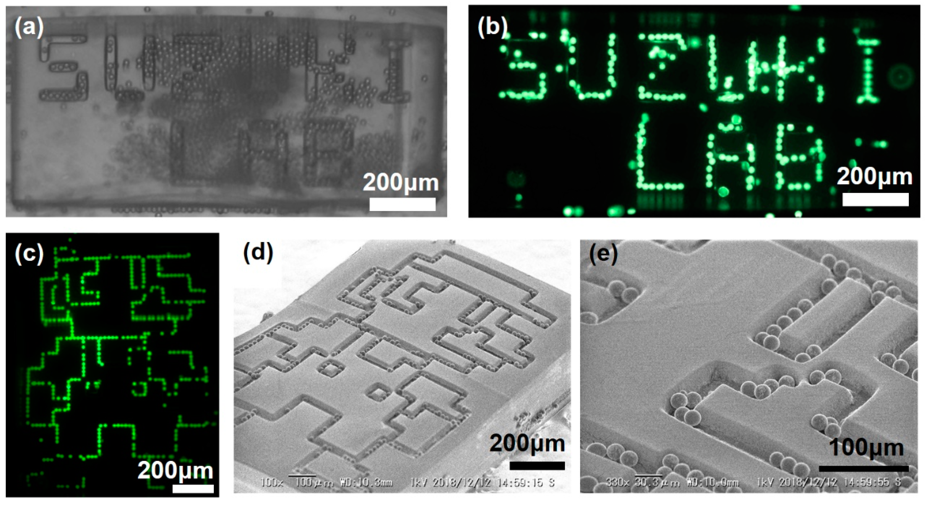 Micromachines 10 00428 g004 Micromachines 10 00428 g004