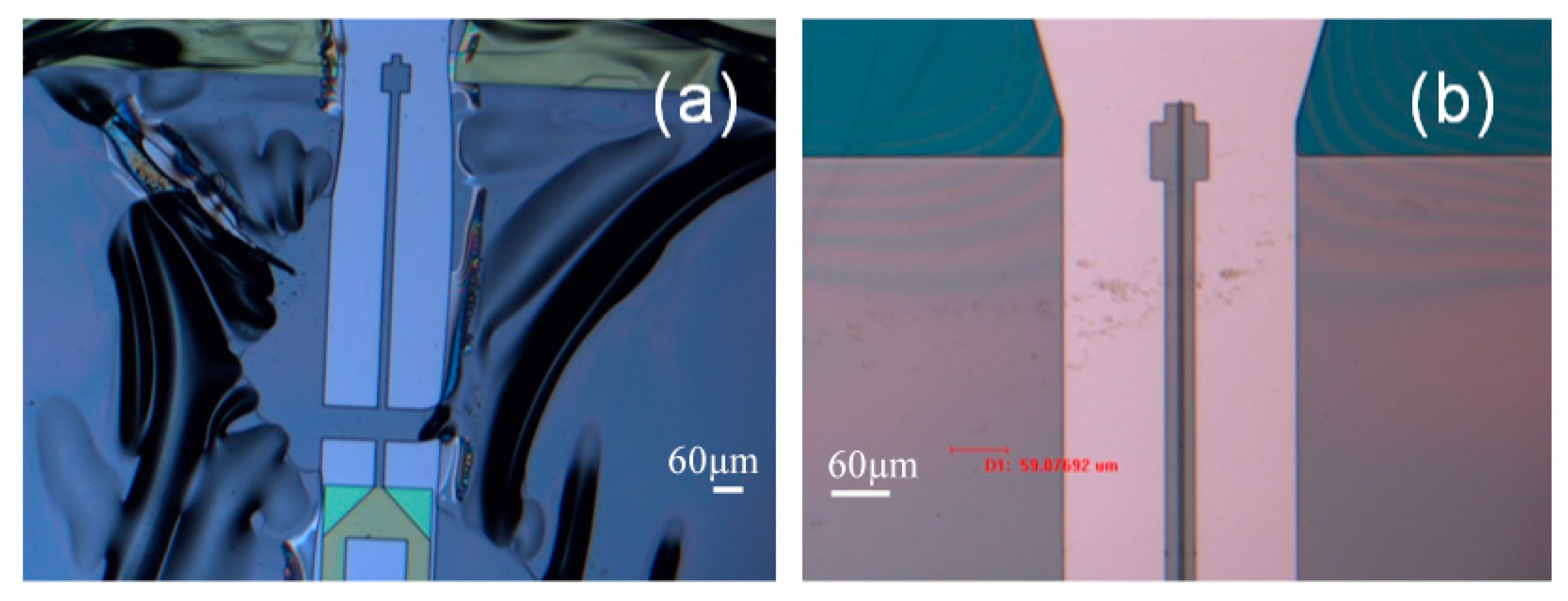 Micromachines 10 00432 g016 550