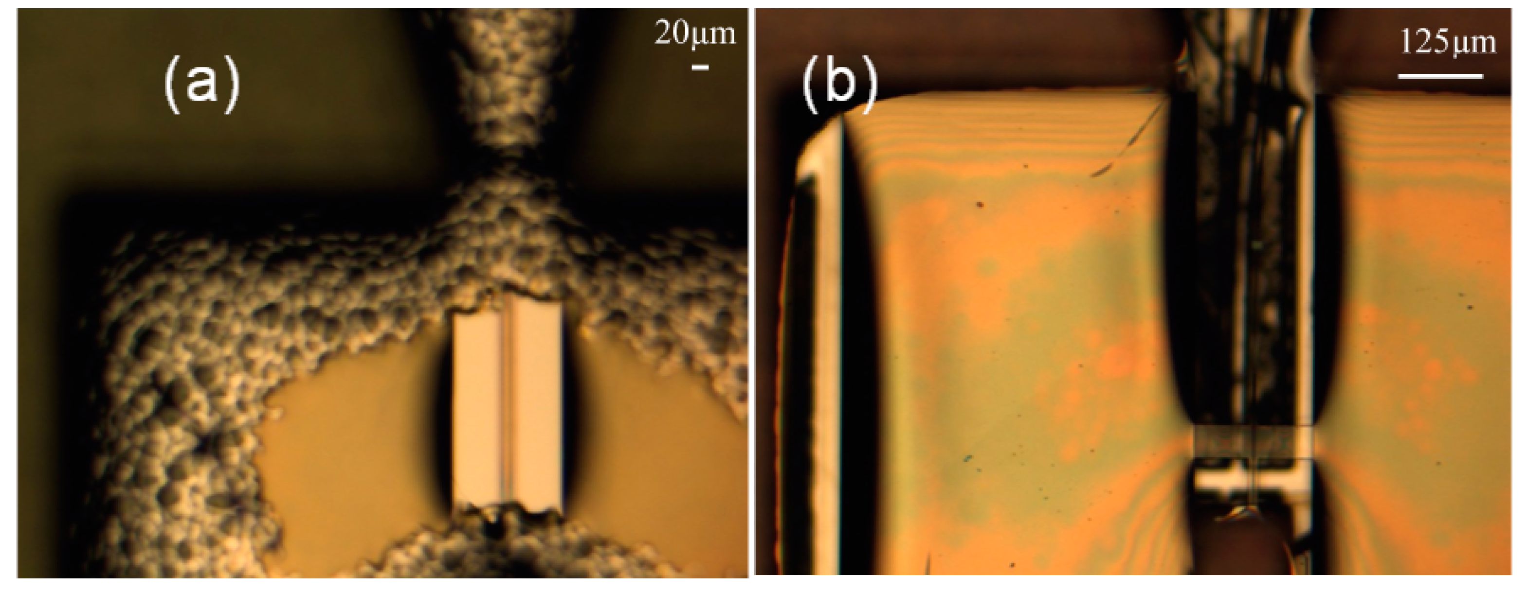Micromachines 10 00432 g017 550