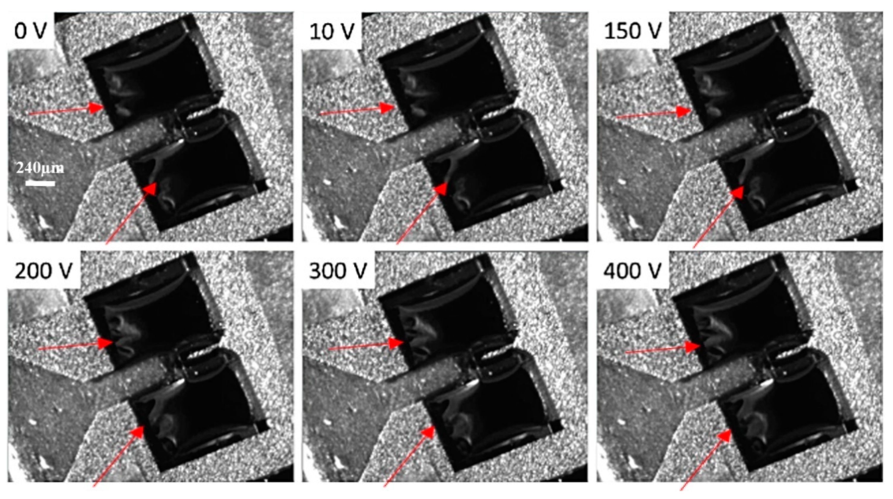 Micromachines 10 00432 g022 550