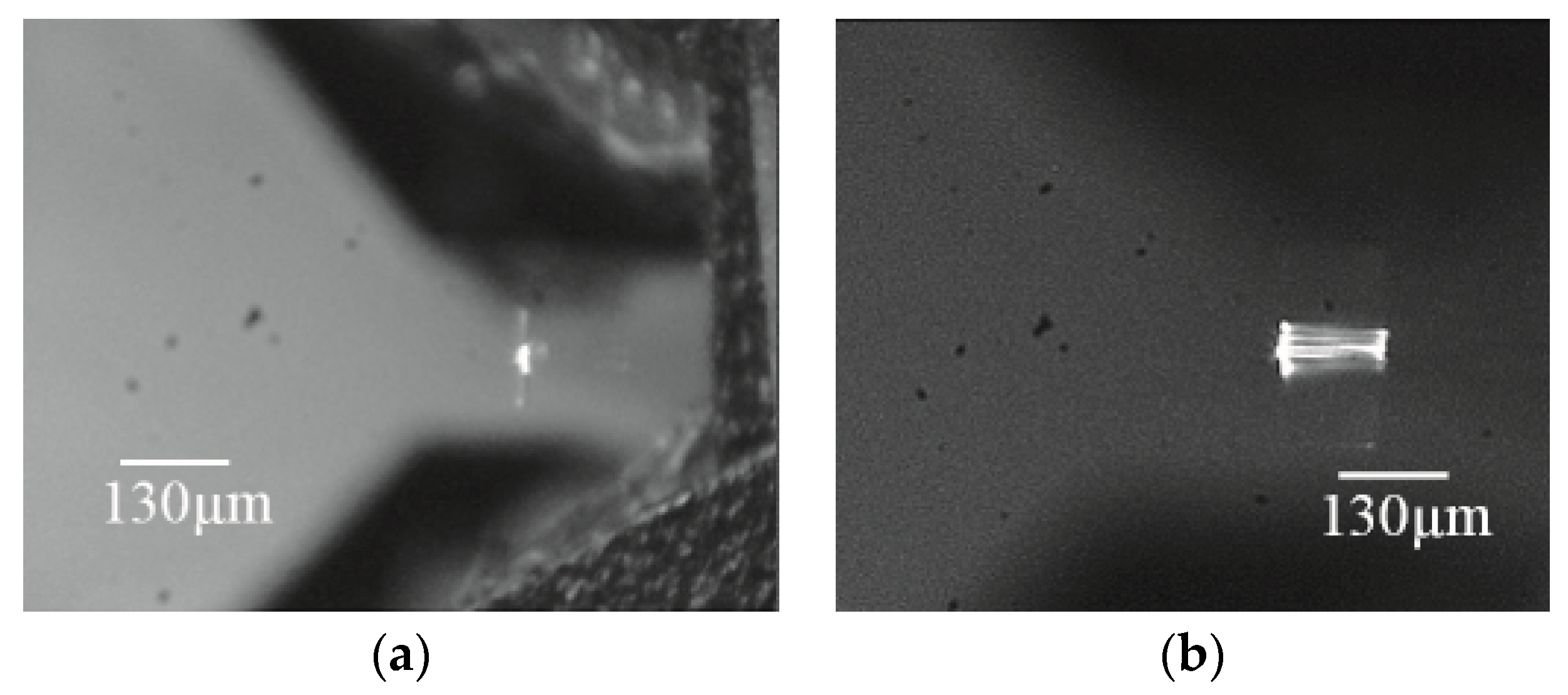 Micromachines 10 00432 g027 550