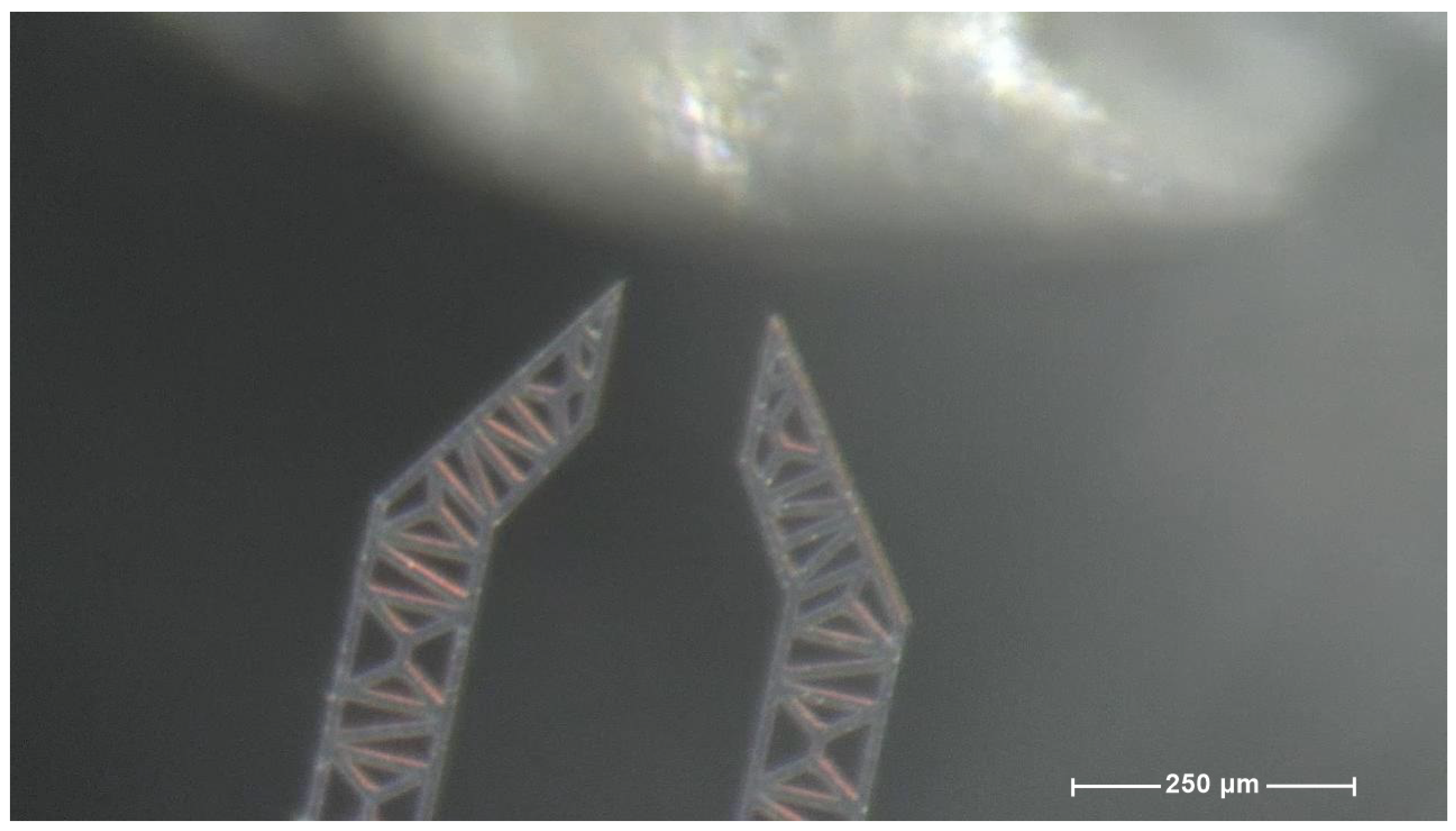 Micromachines 10 00436 g004 Micromachines 10 00436 g004