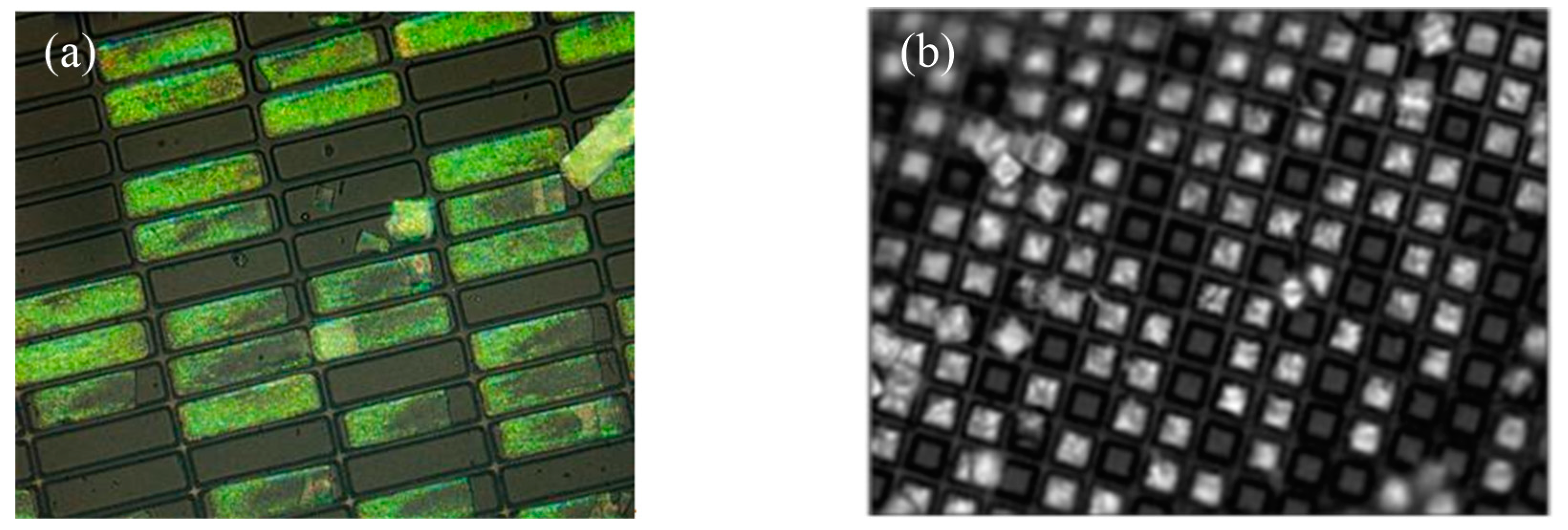 Micromachines 10 00441 g001
