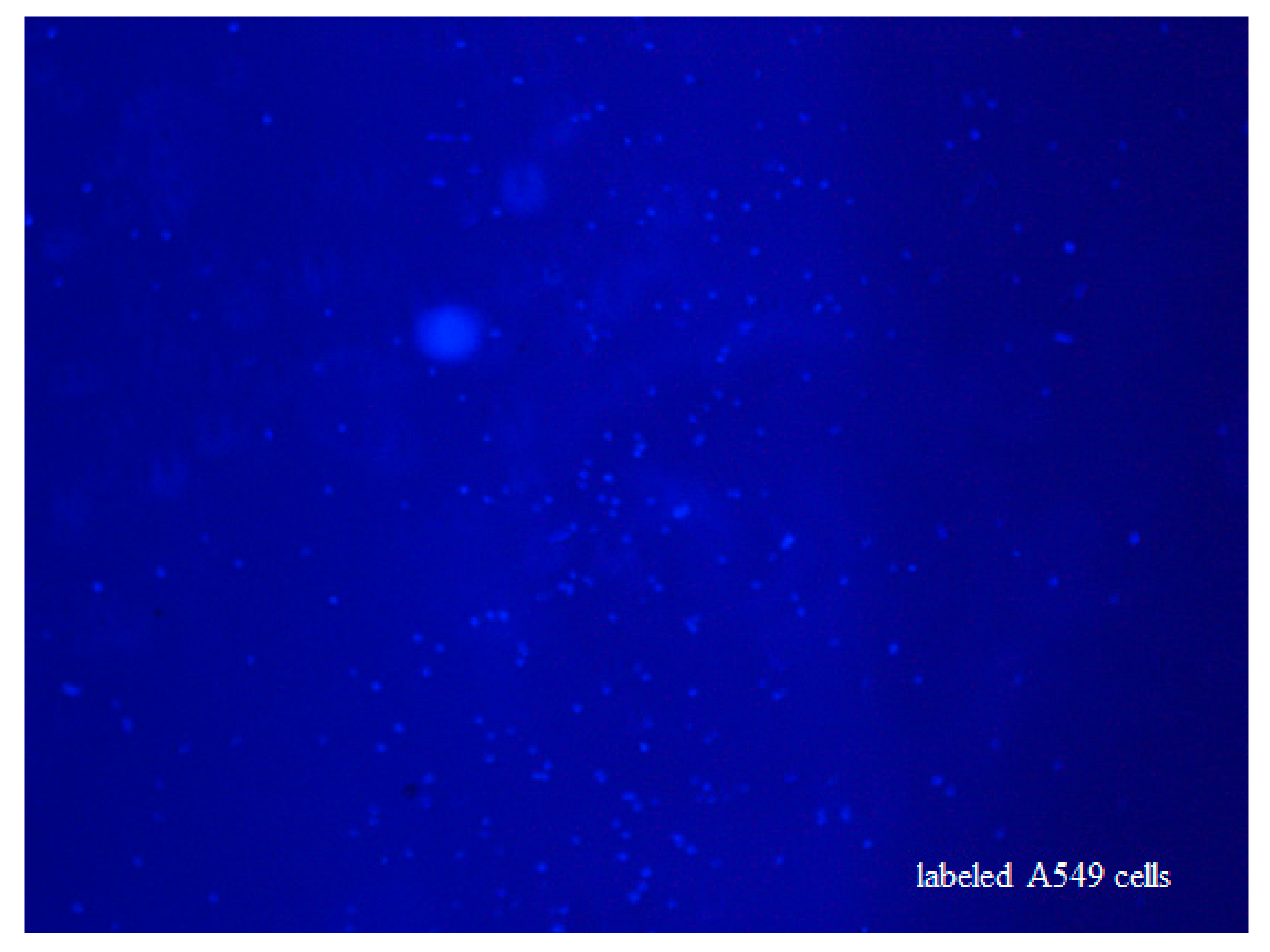 Micromachines 10 00442 g003 Micromachines 10 00442 g003