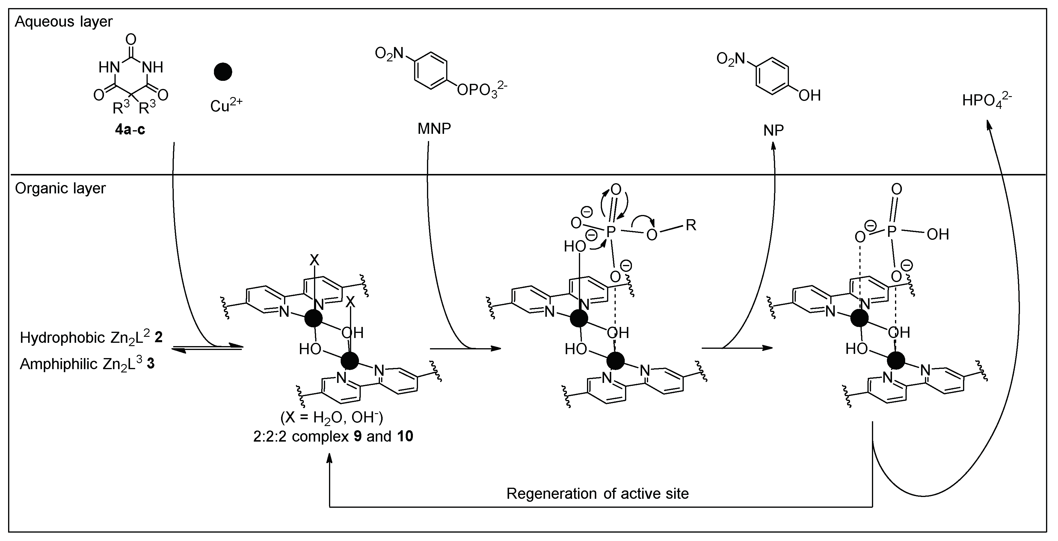 Micromachines 10 00452 sch002 Micromachines 10 00452 sch002