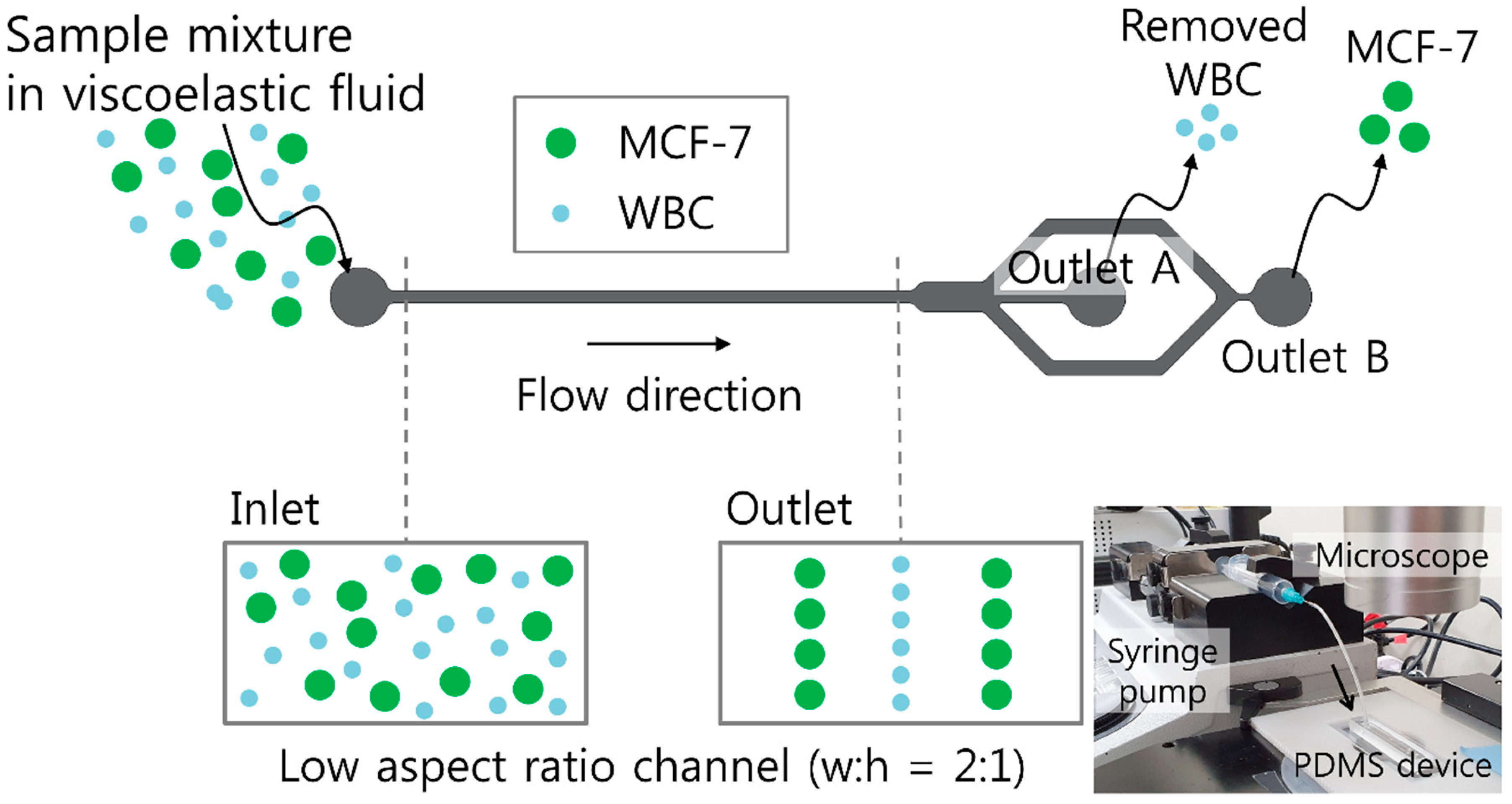 Micromachines 10 00462 g001 Micromachines 10 00462 g001