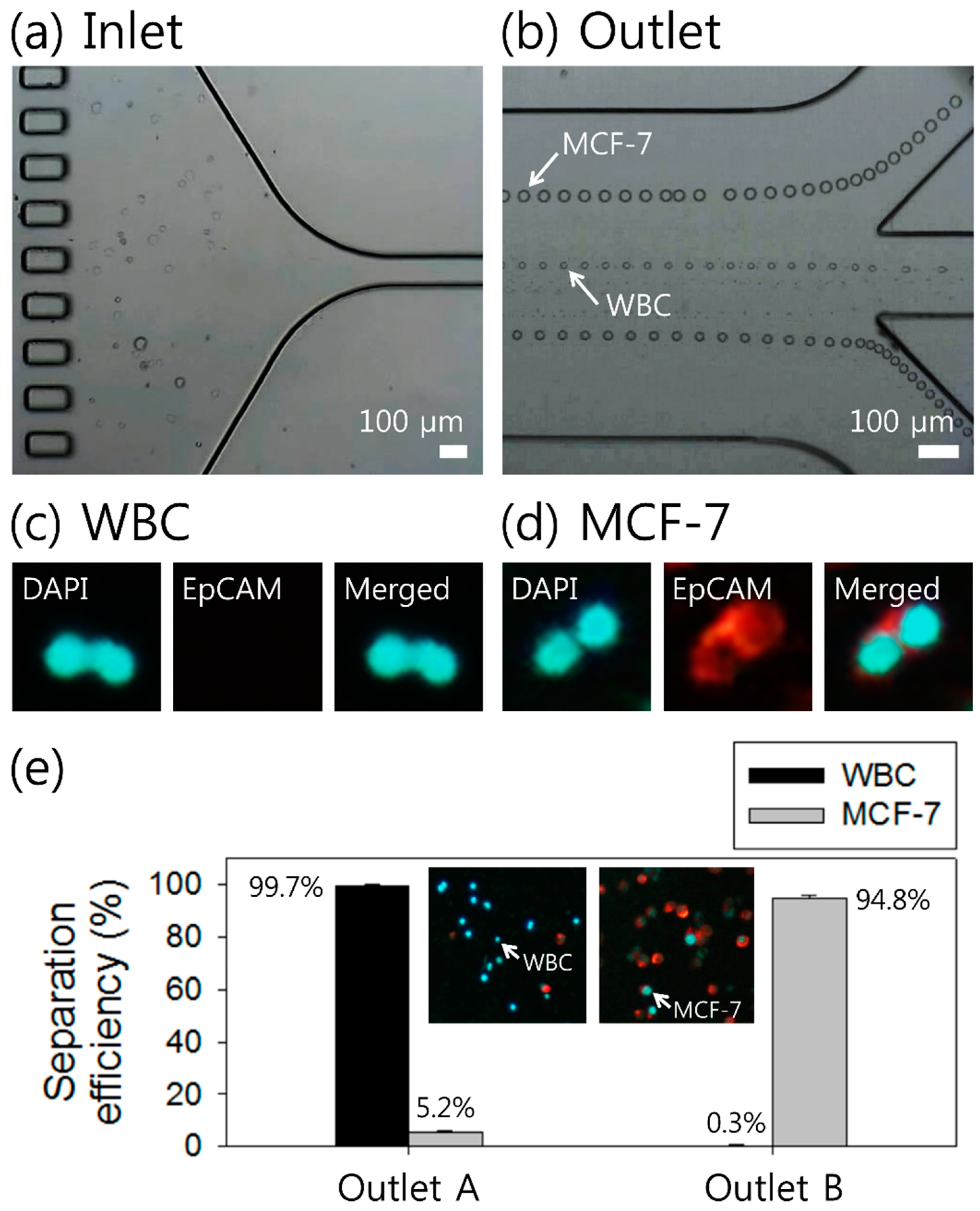 Micromachines 10 00462 g004 Micromachines 10 00462 g004