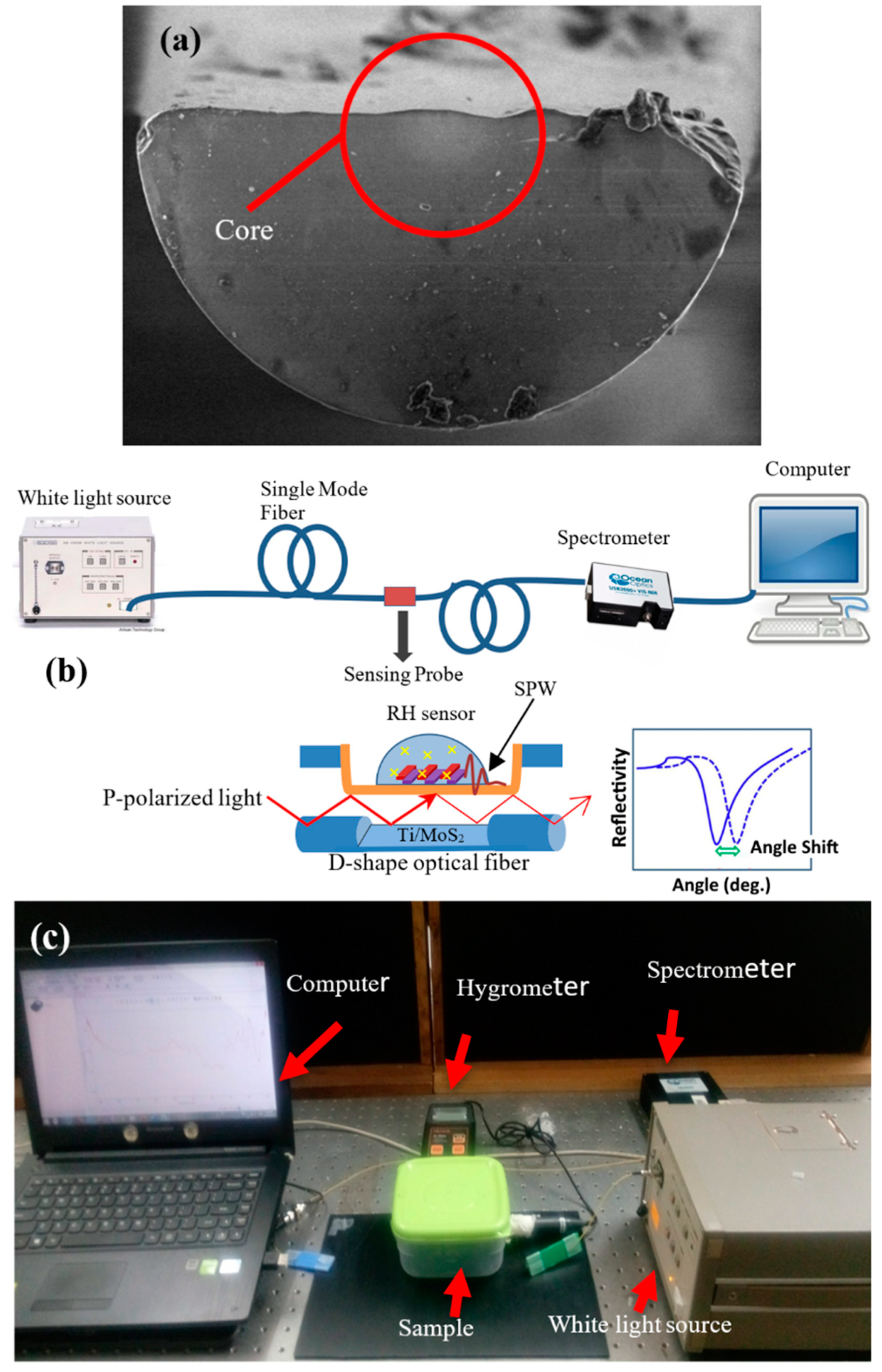 Micromachines 10 00465 g002