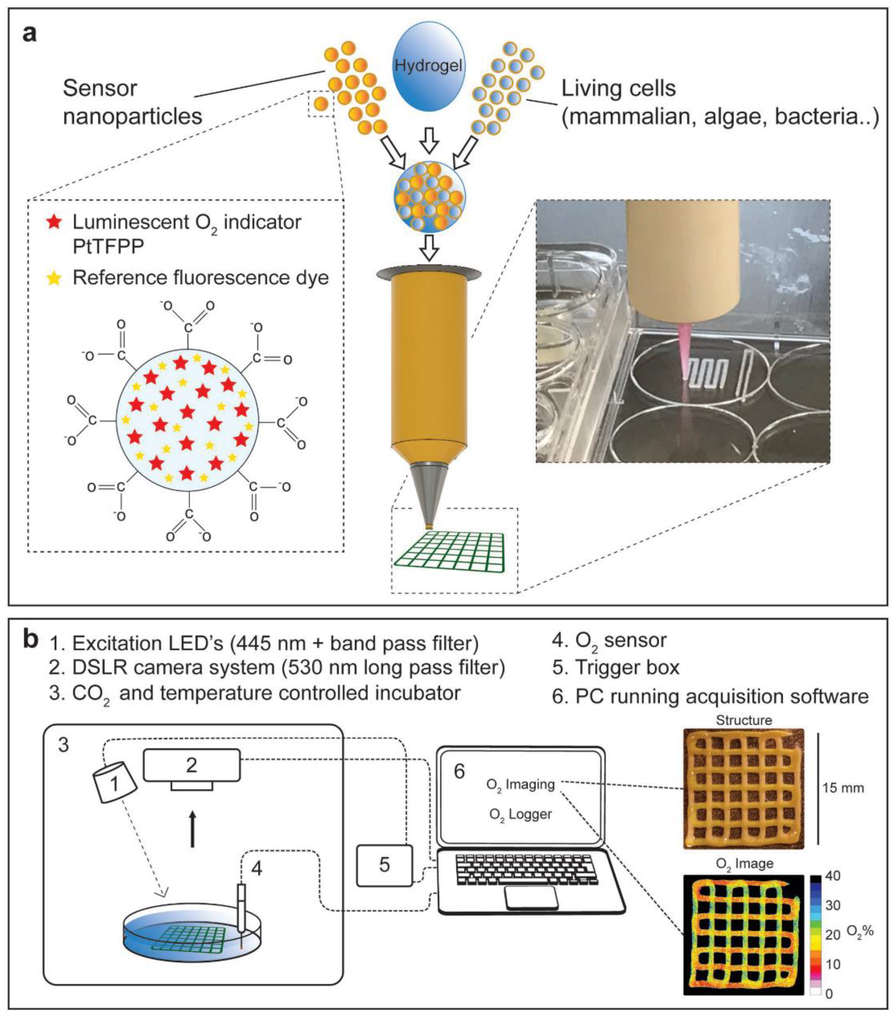 Micromachines 10 00474 g008 Micromachines 10 00474 g008