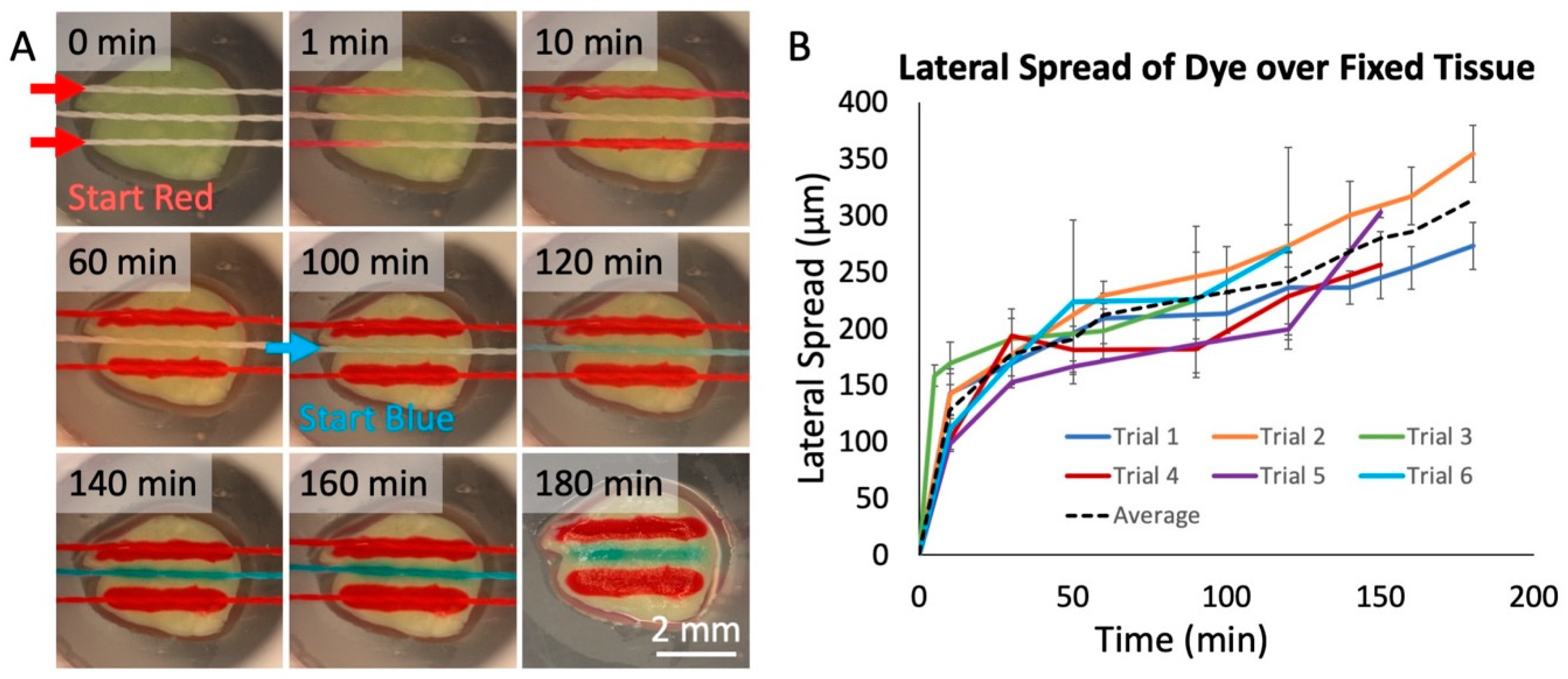 Micromachines 10 00481 g004