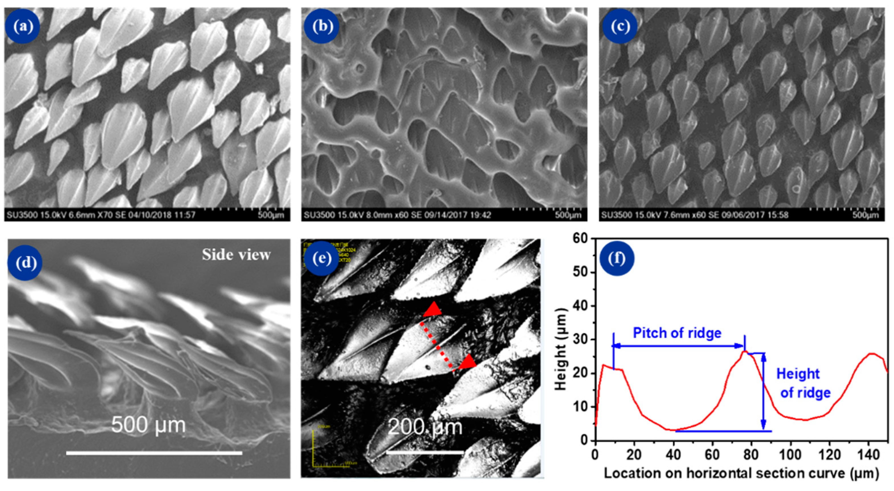 Micromachines 10 00490 g004 Micromachines 10 00490 g004
