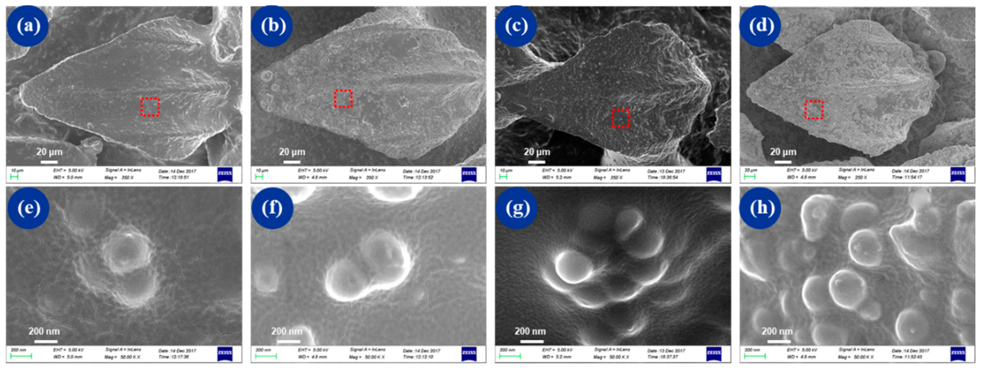 Micromachines 10 00490 g005 Micromachines 10 00490 g005