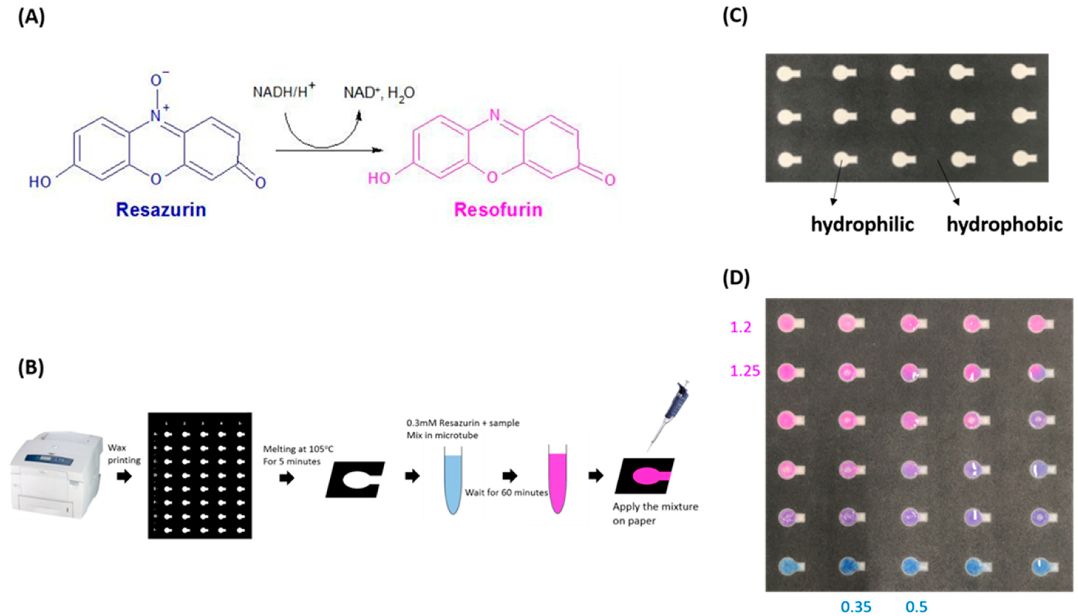 Micromachines Free FullText PaperBased Resazurin Assay of