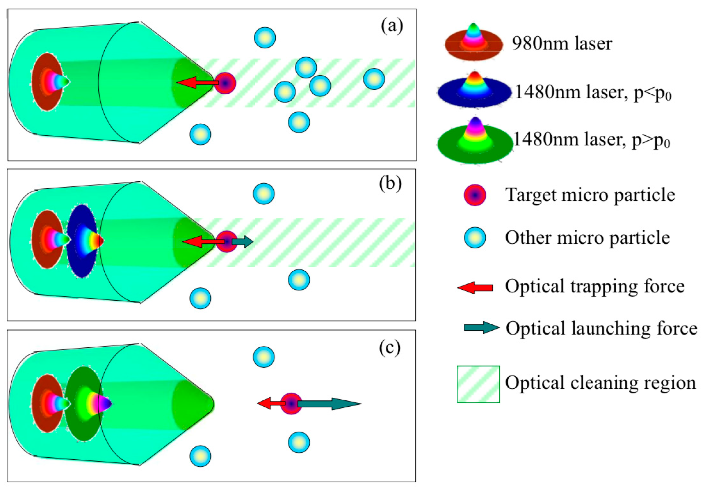 Micromachines 10 00499 g003
