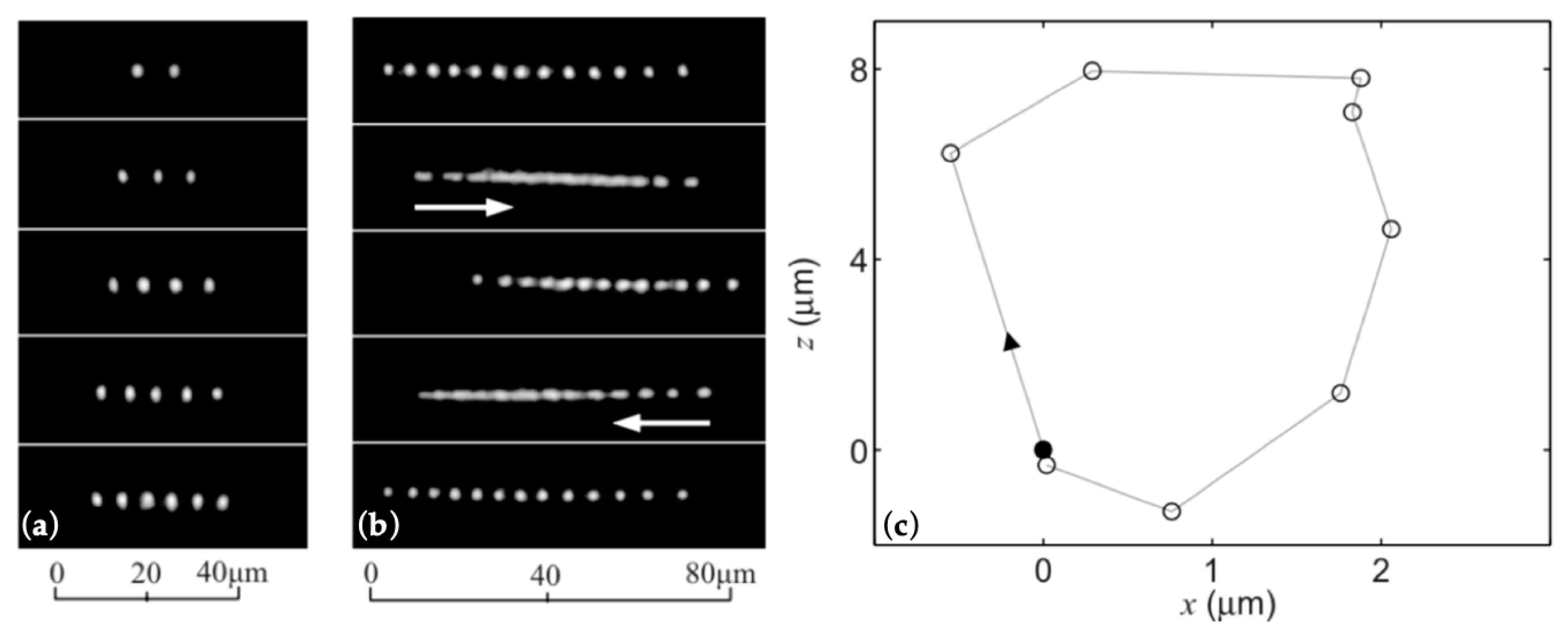Micromachines 10 00499 g005