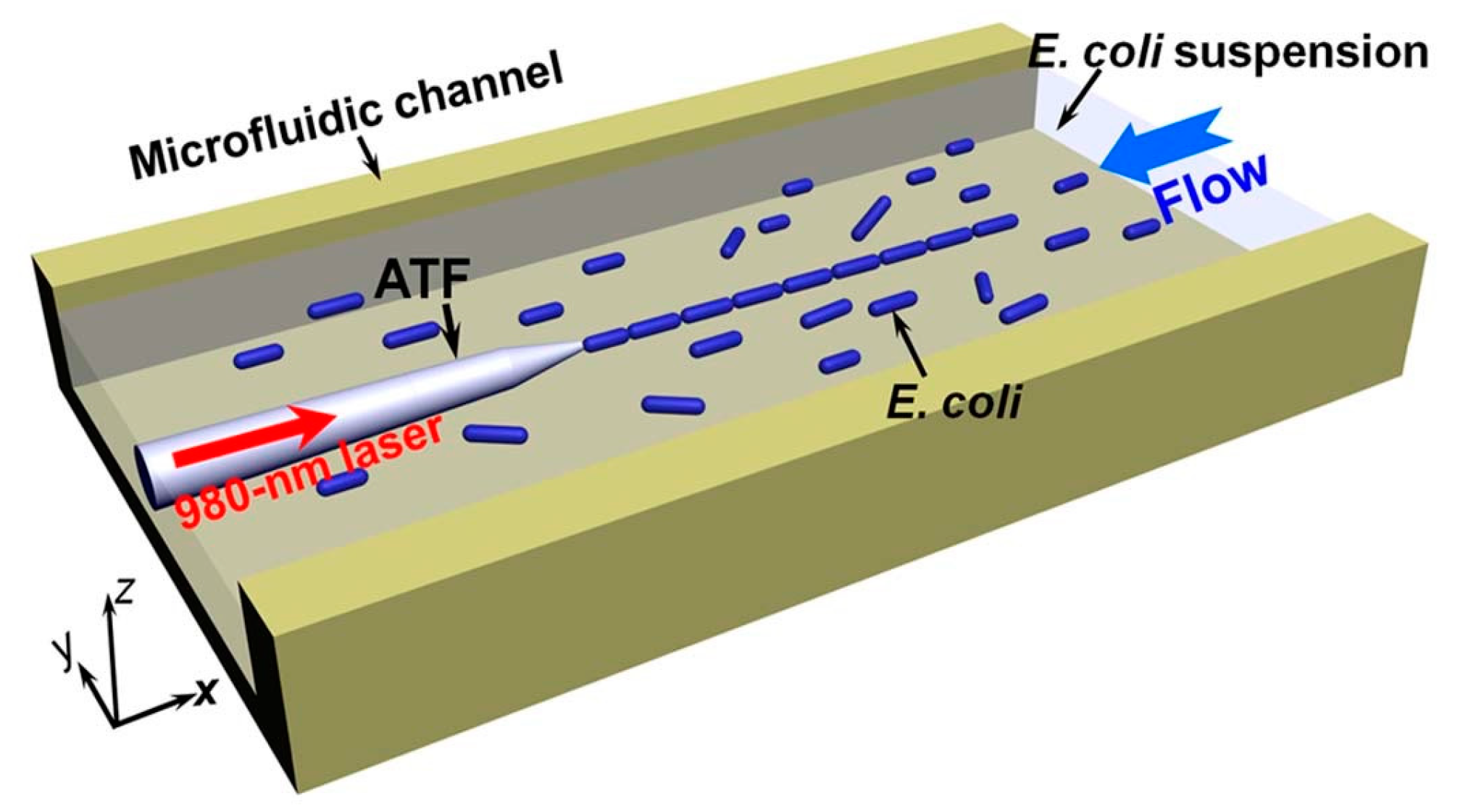 Micromachines 10 00499 g012