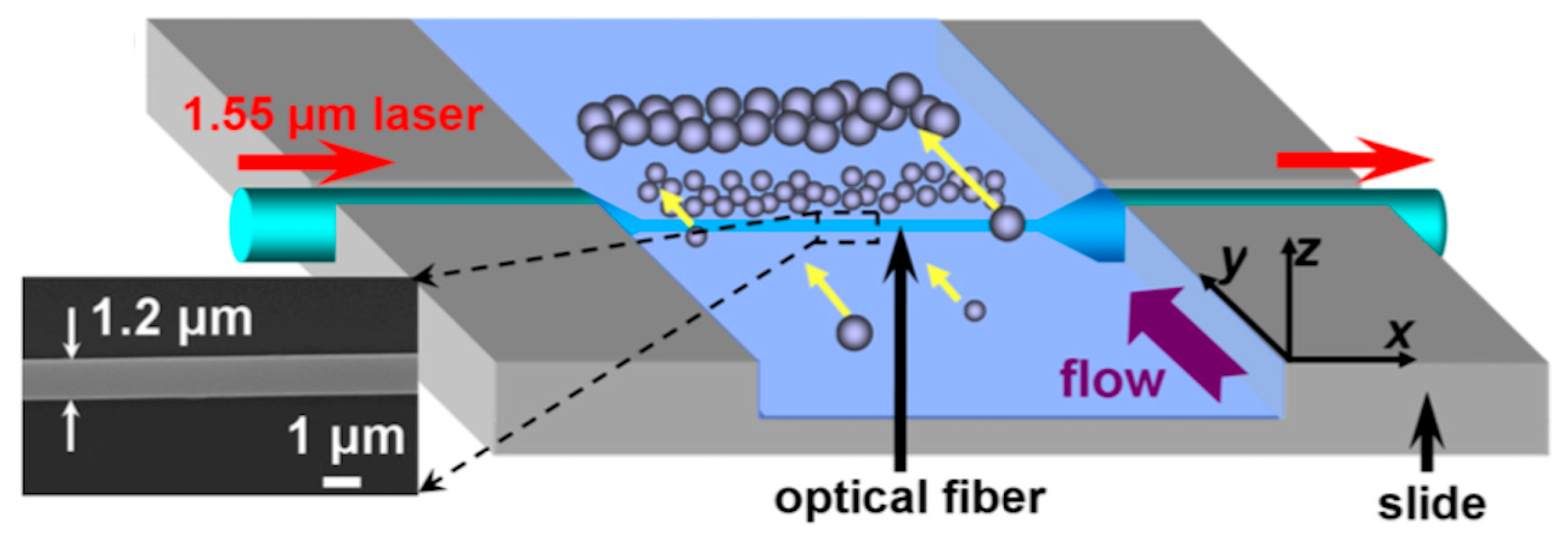Micromachines 10 00499 g015