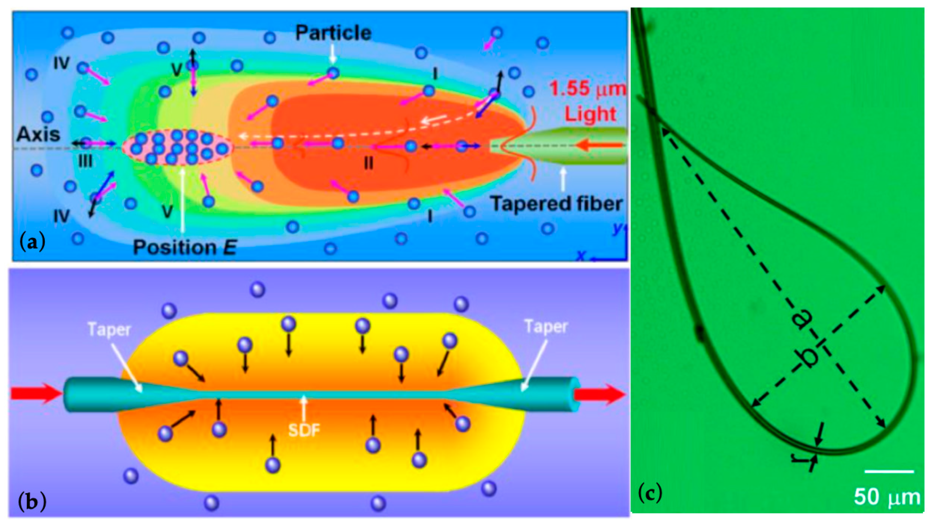 Micromachines 10 00499 g016
