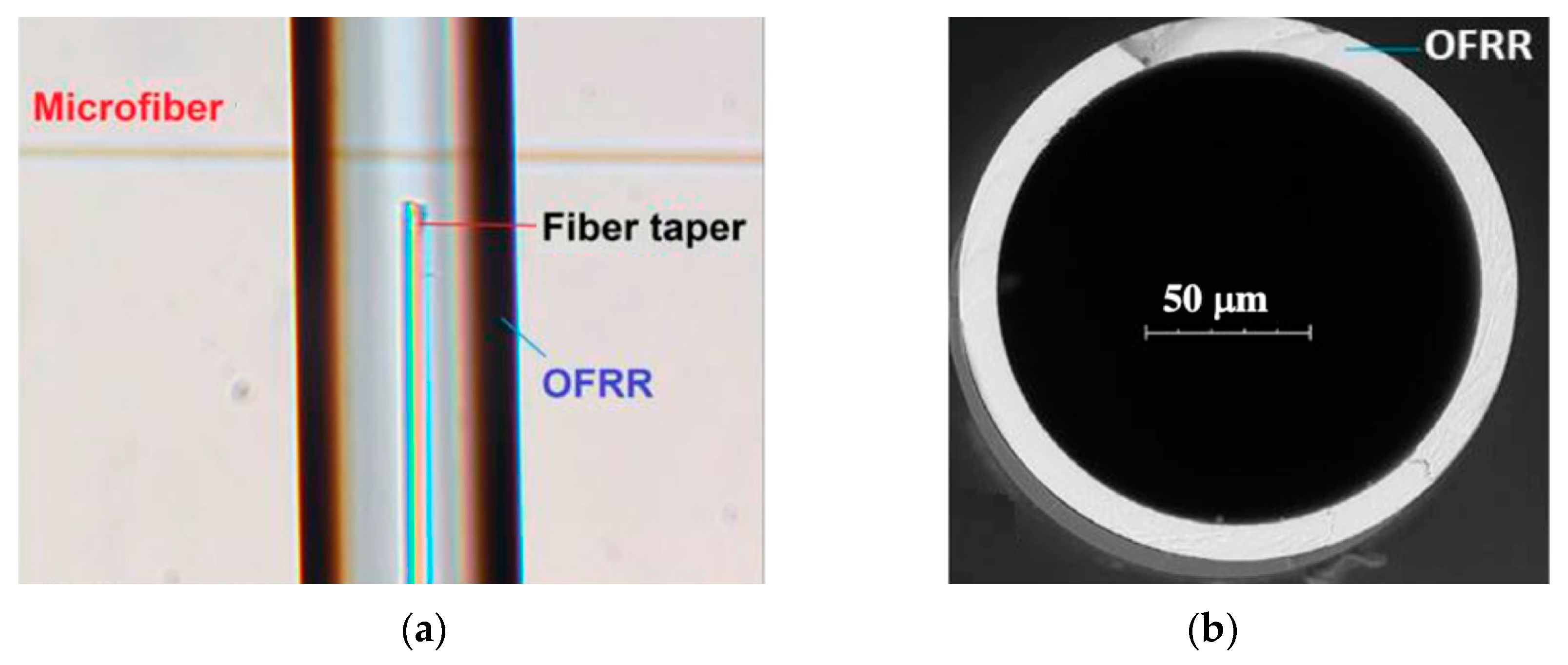 Micromachines 10 00499 g017